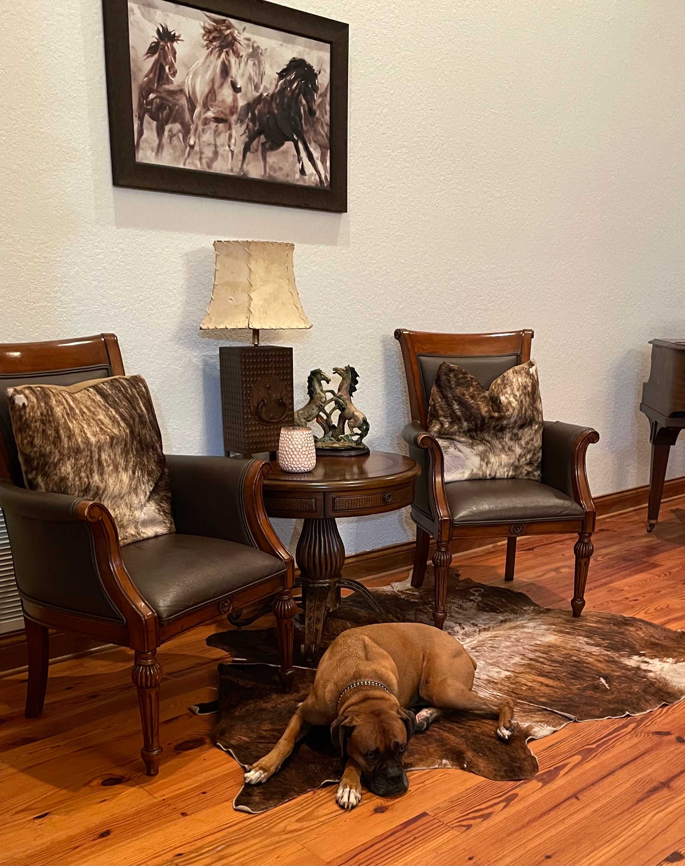 My dog enjoyed the clubhouse.