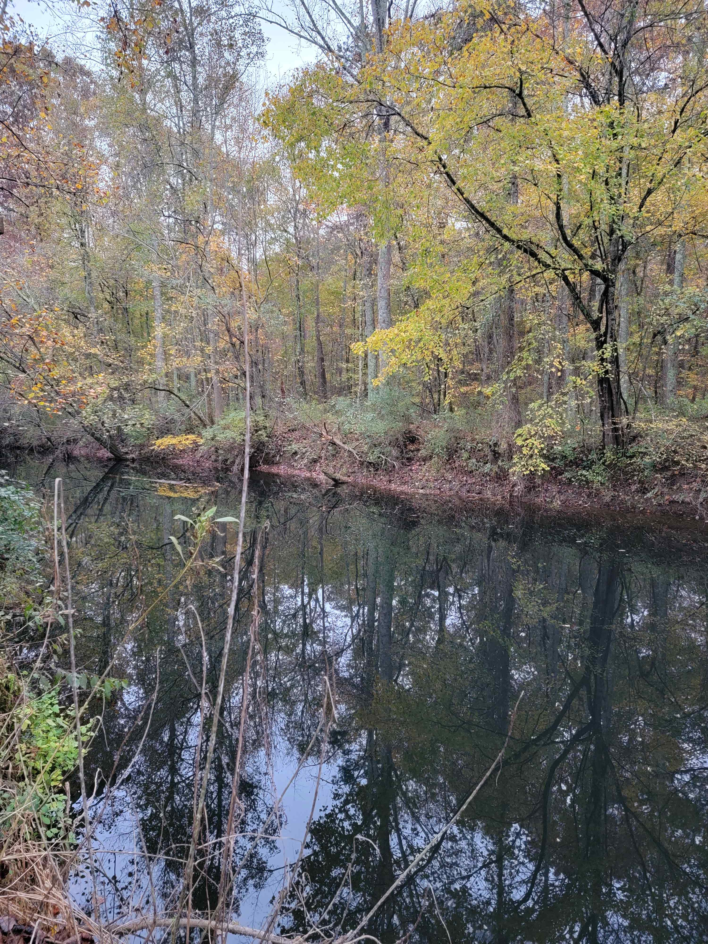 Backforty Campground