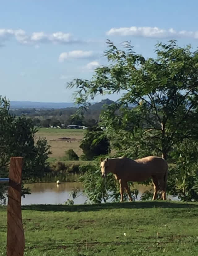 Mirrabooka Farm Views