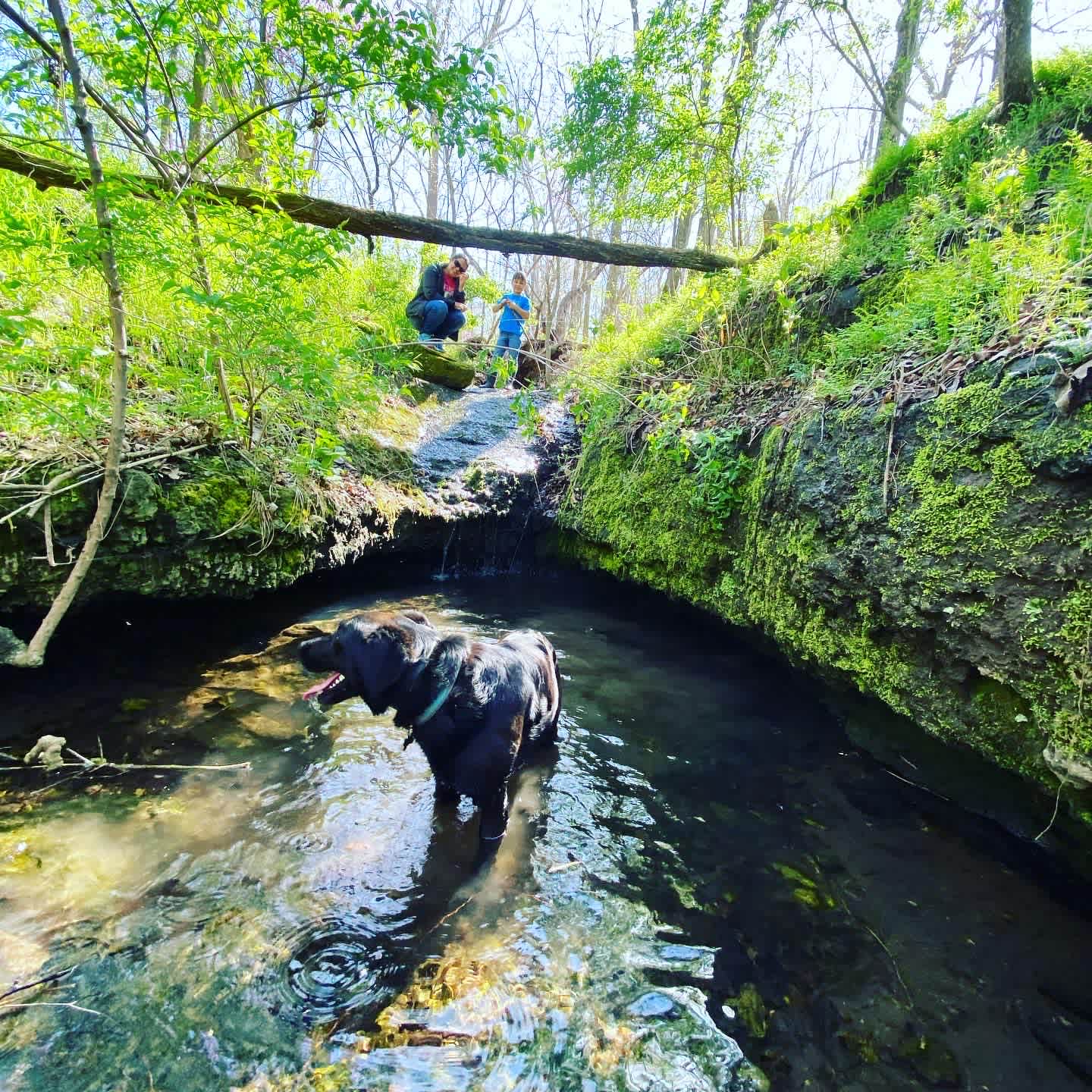 Illinois River Paradise | 60 Acres