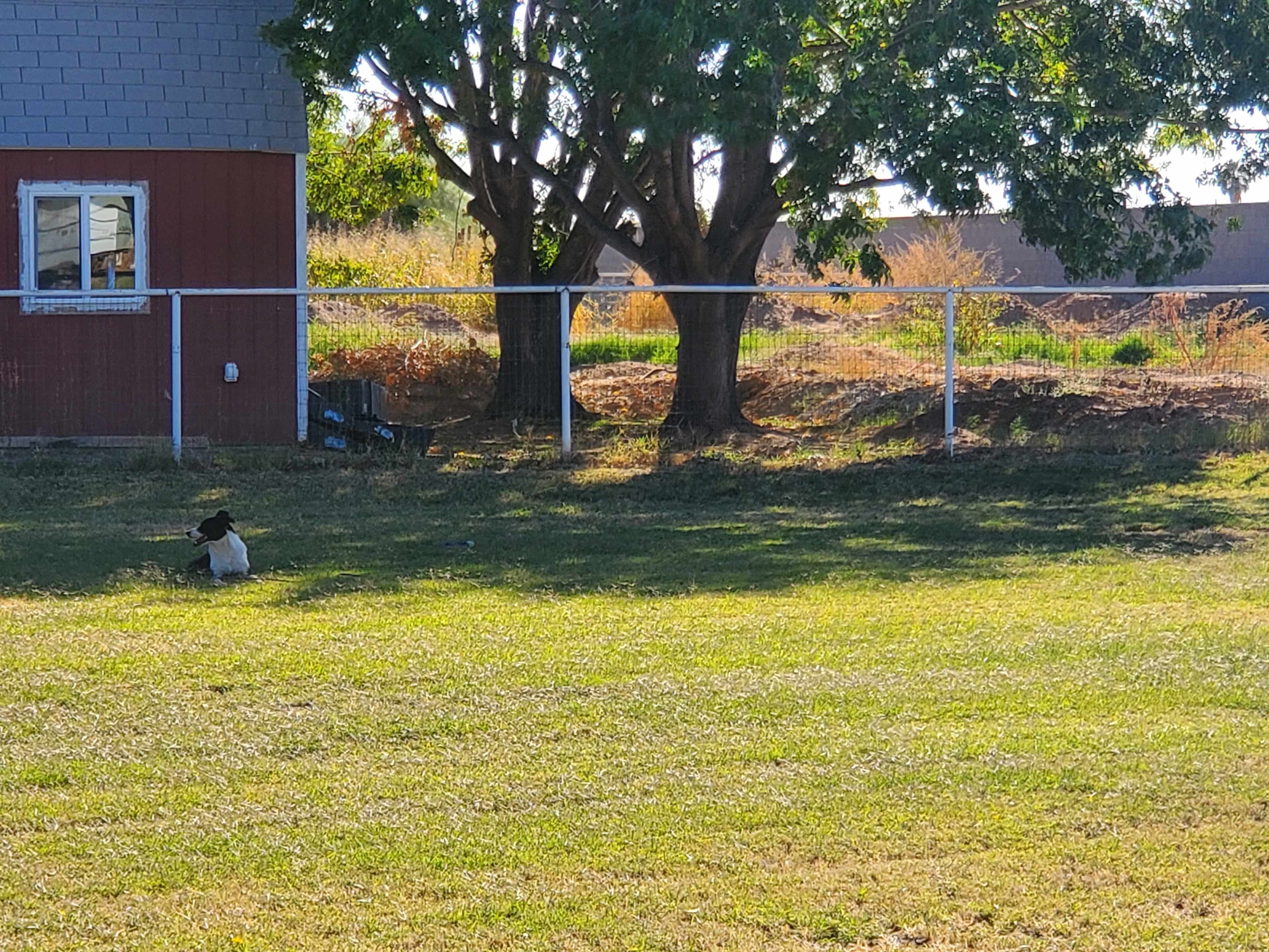 Suburban Pasture