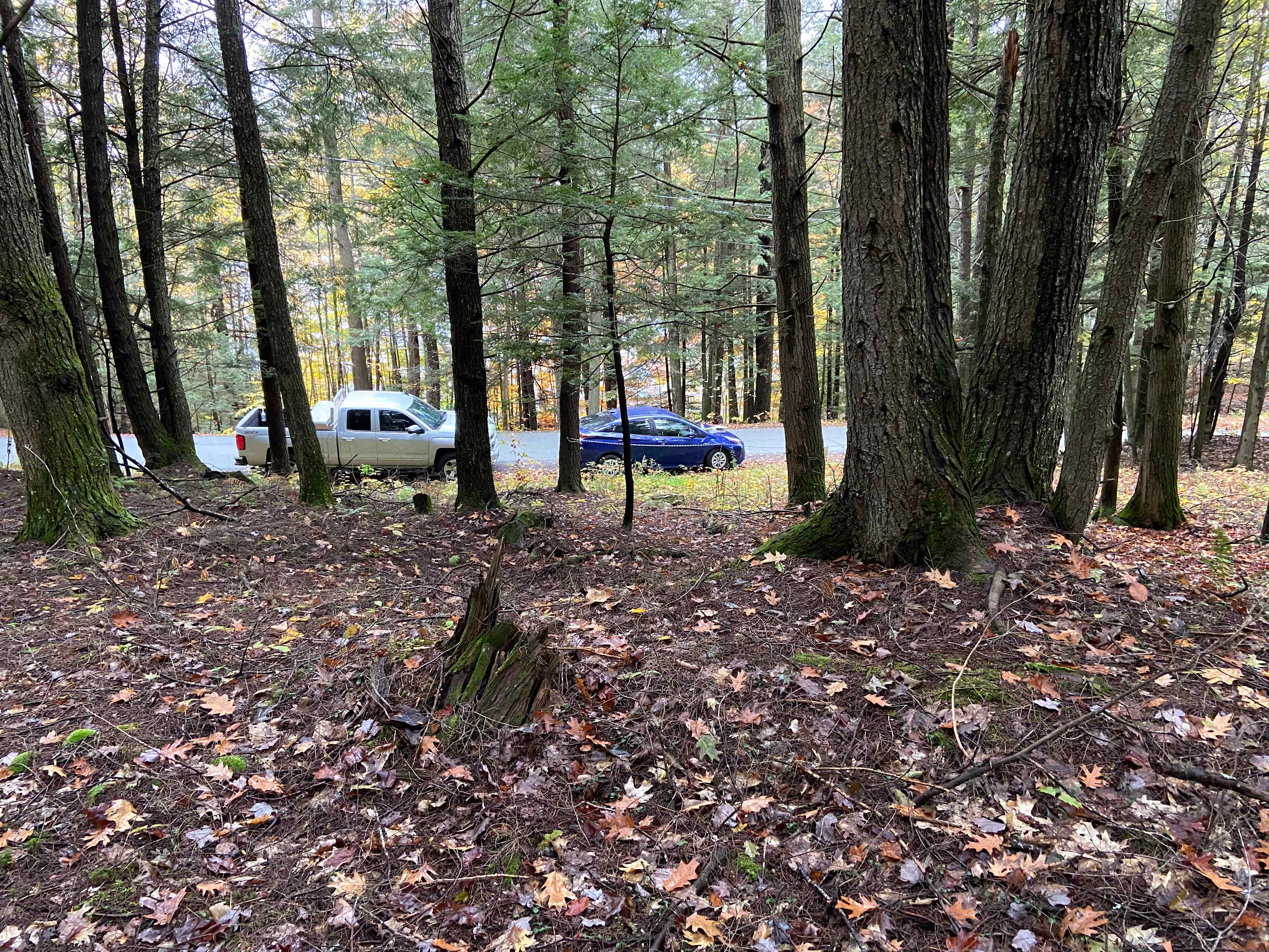 Forest Retreat w/Lake Access