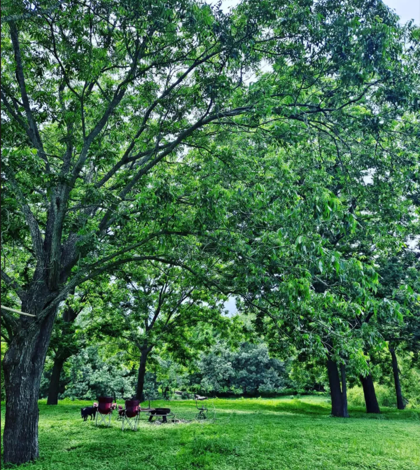 River Grove Campground