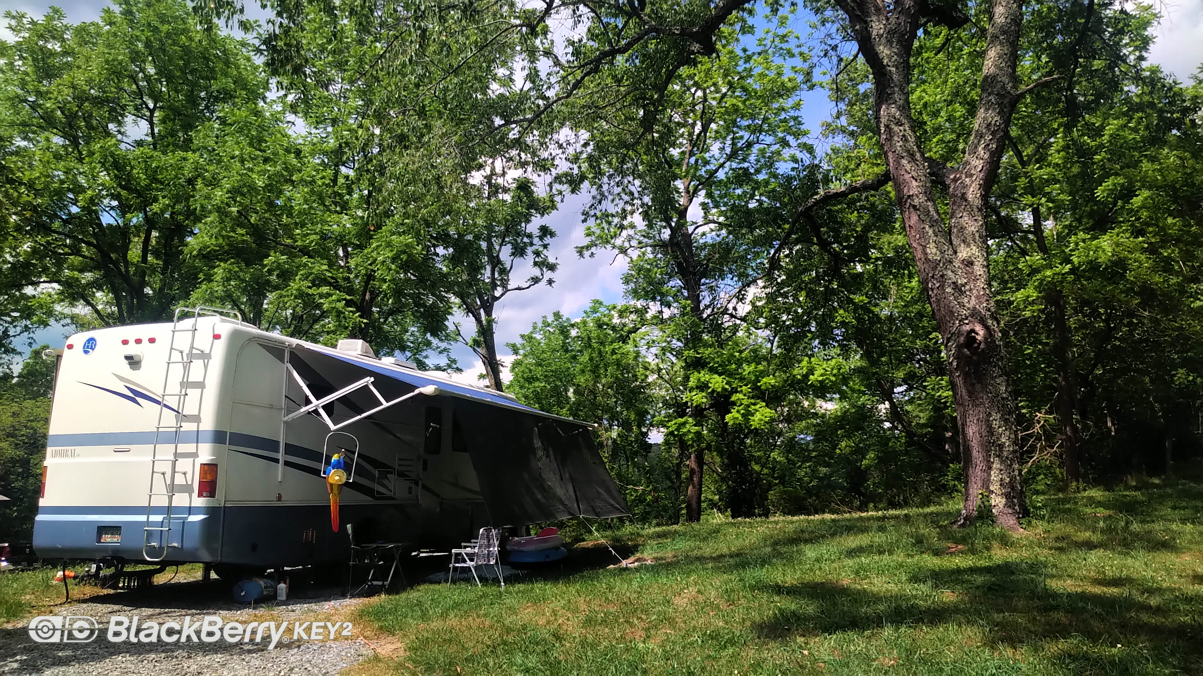 RV site on a Black Walnut Farm