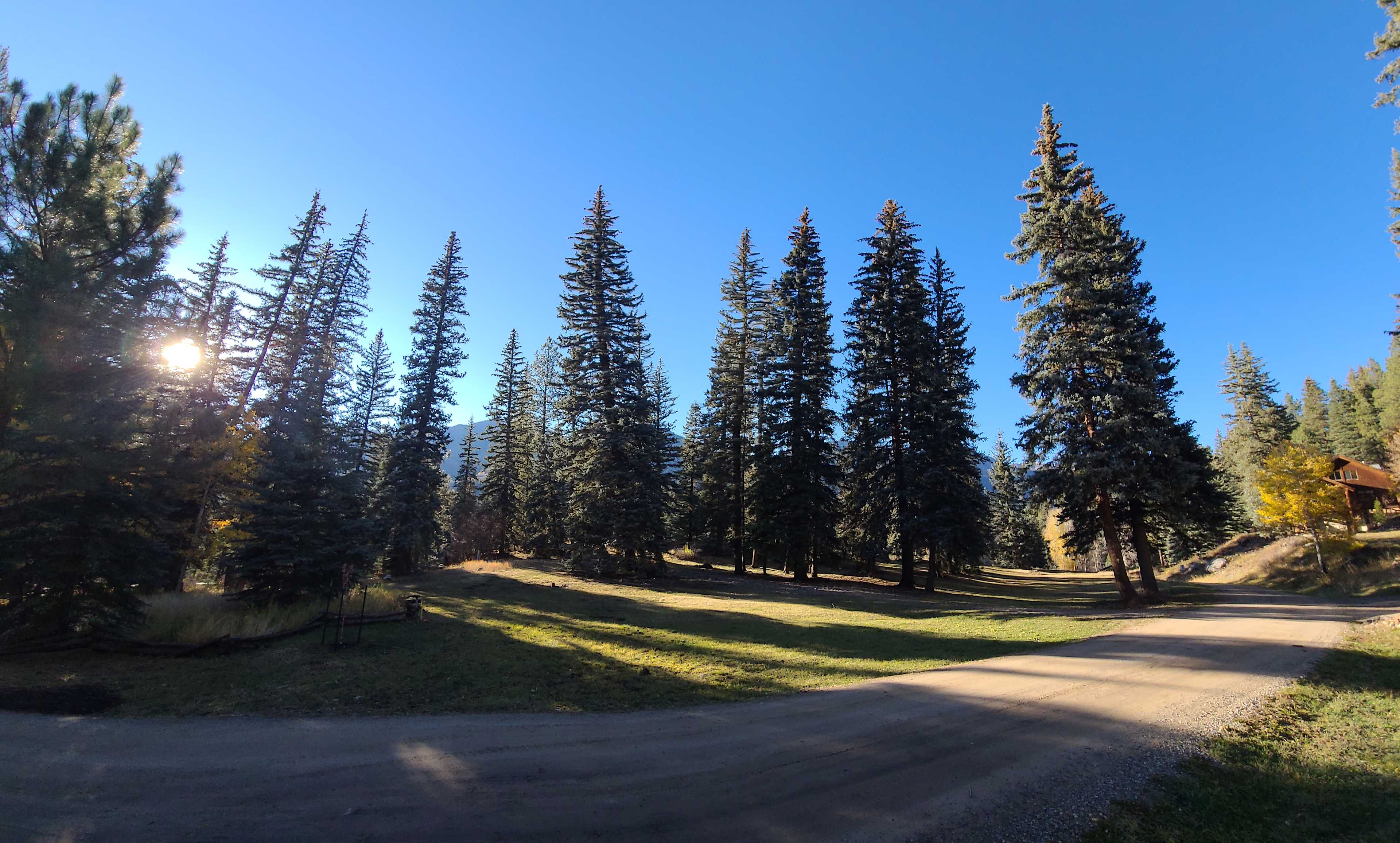 Mountain Meadow