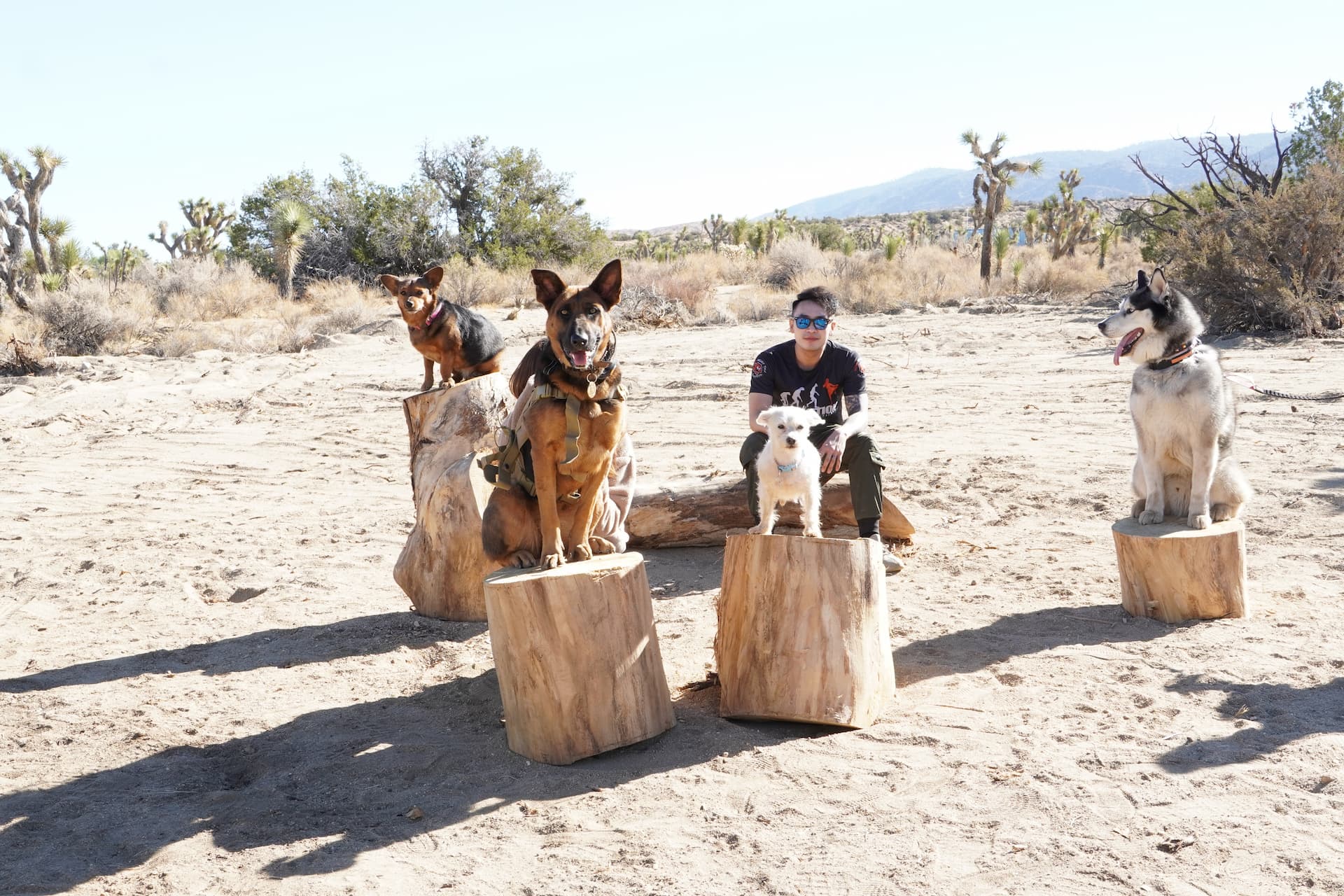 Basecamp 138 Desert Ranch