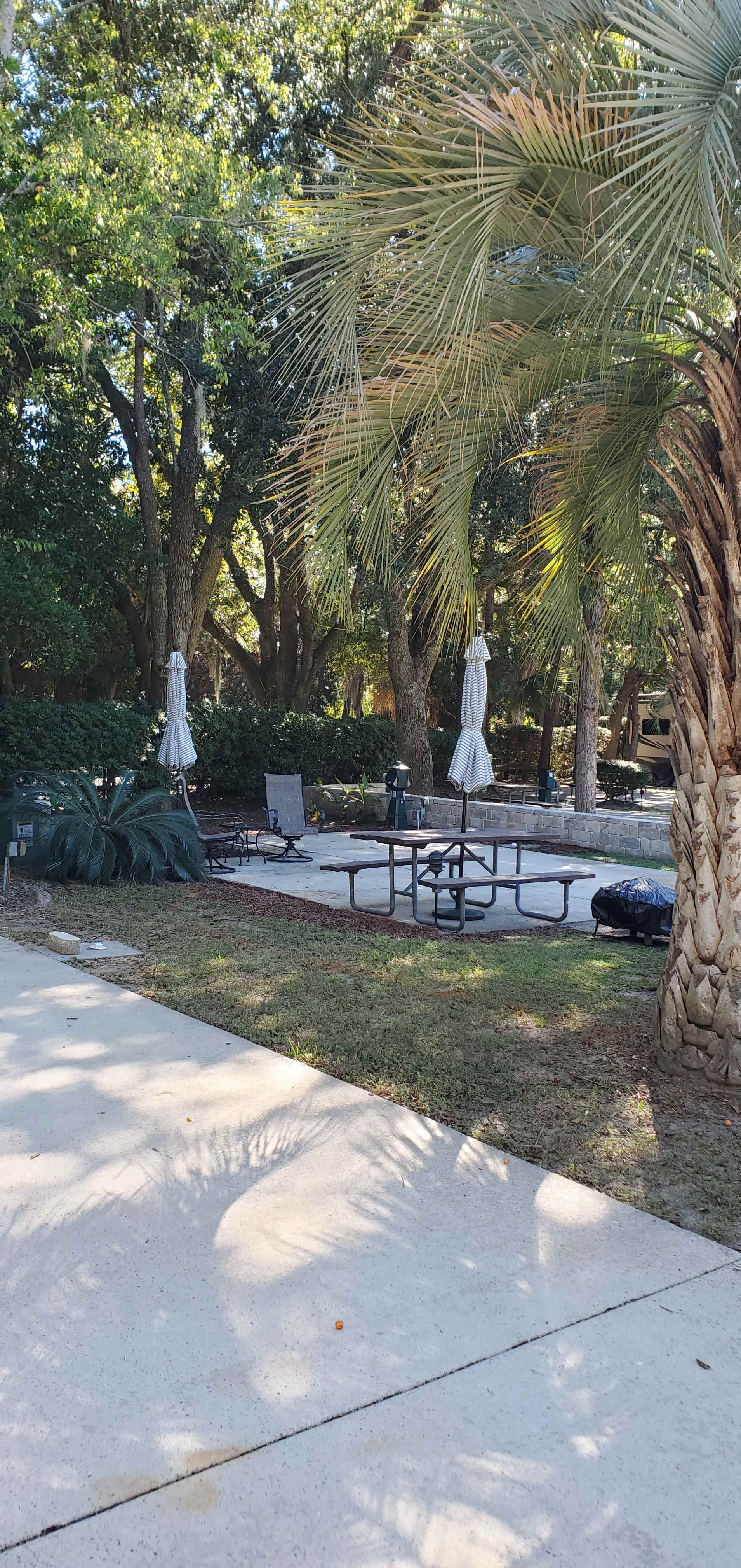 Hilton Head RV Site