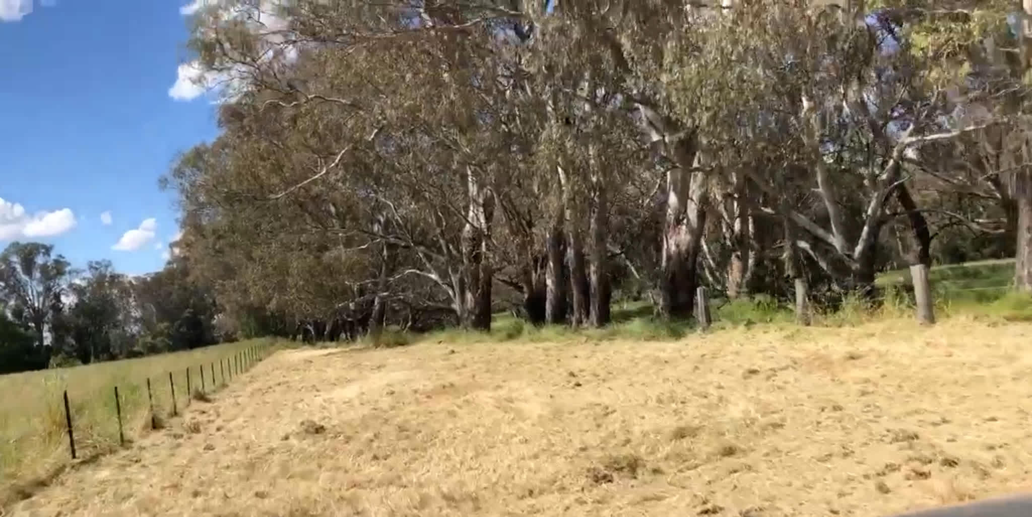 Camp Ovens