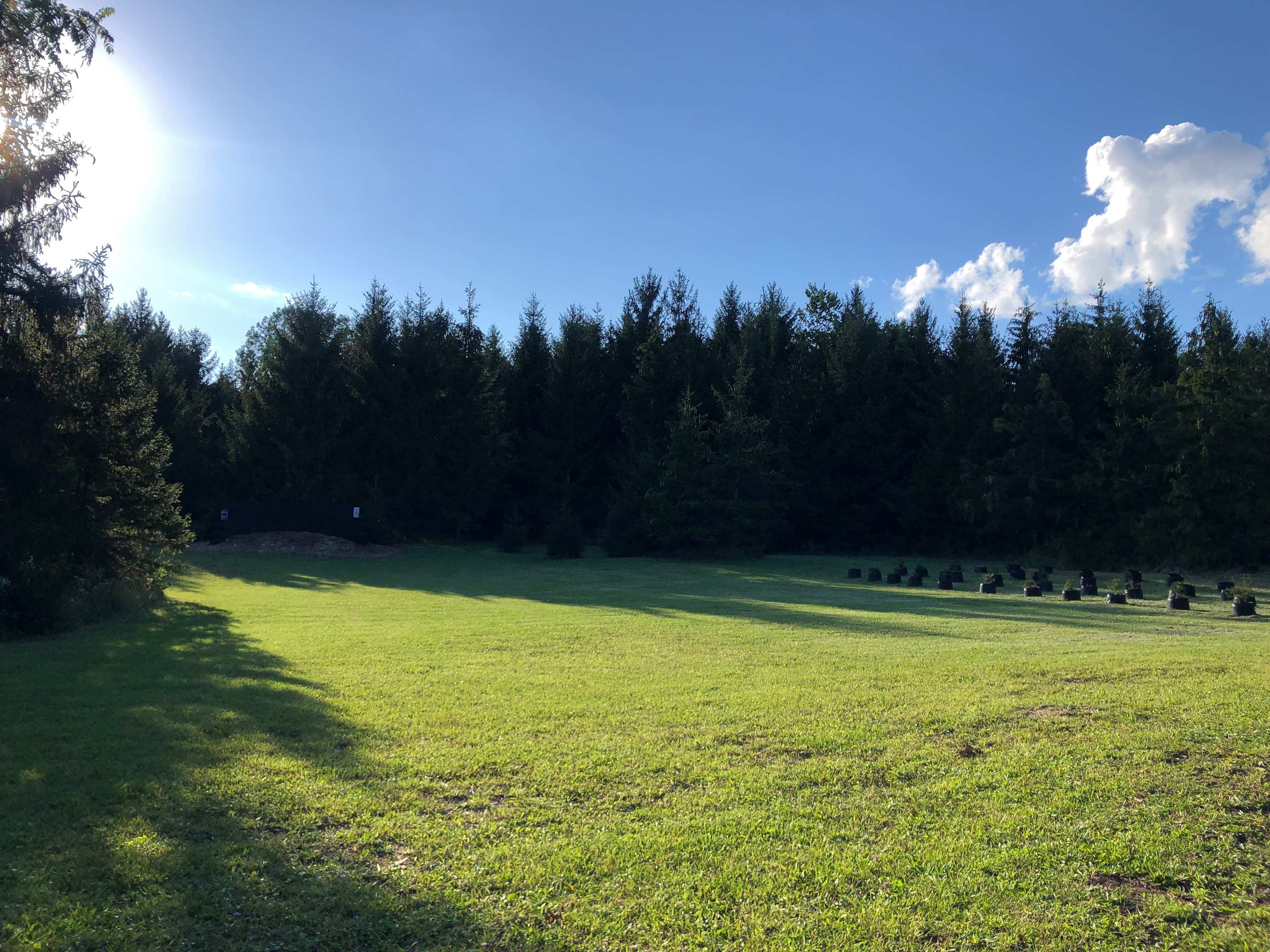 Forested area, and wetlands 
