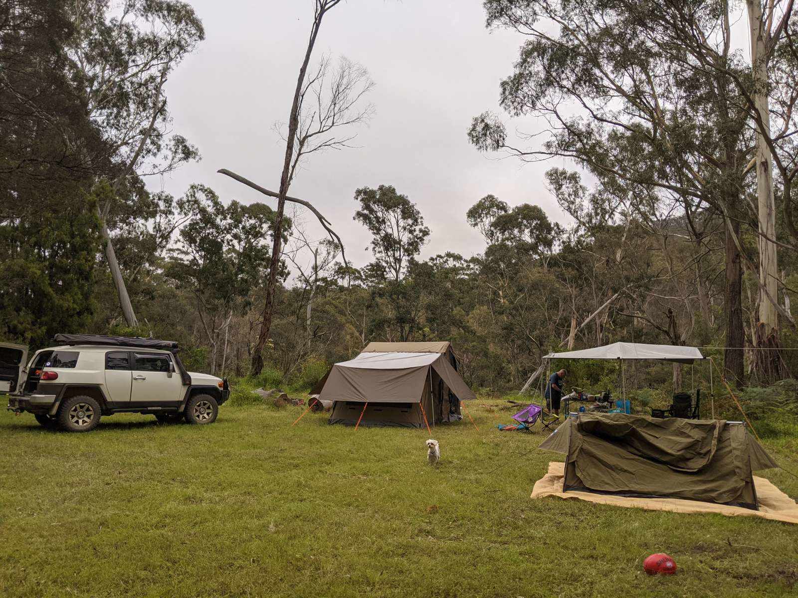 Rose Gum Farm