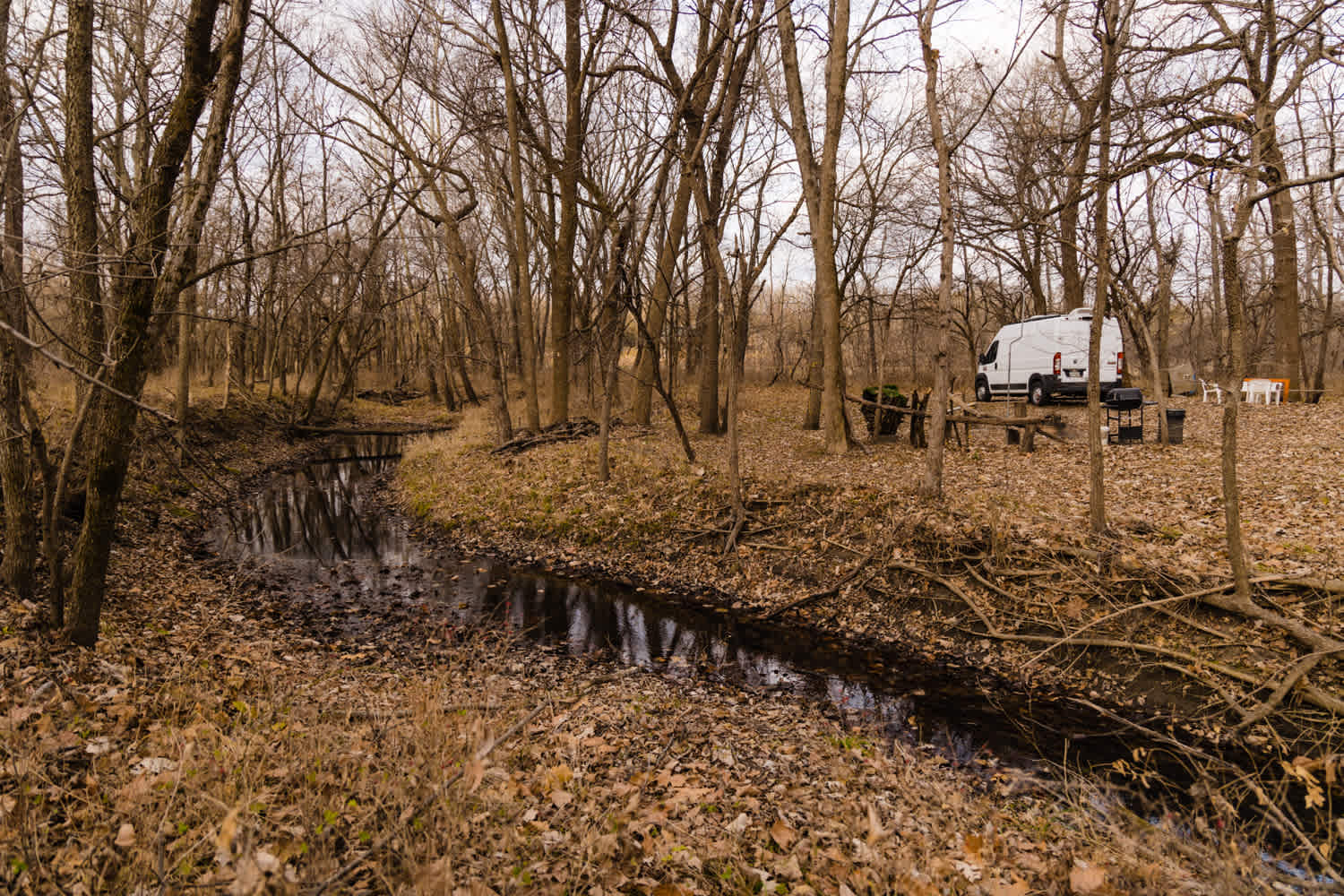 A view of our campsite from a creek, there is also a beautiful river on property that is great to play in during the summer!
