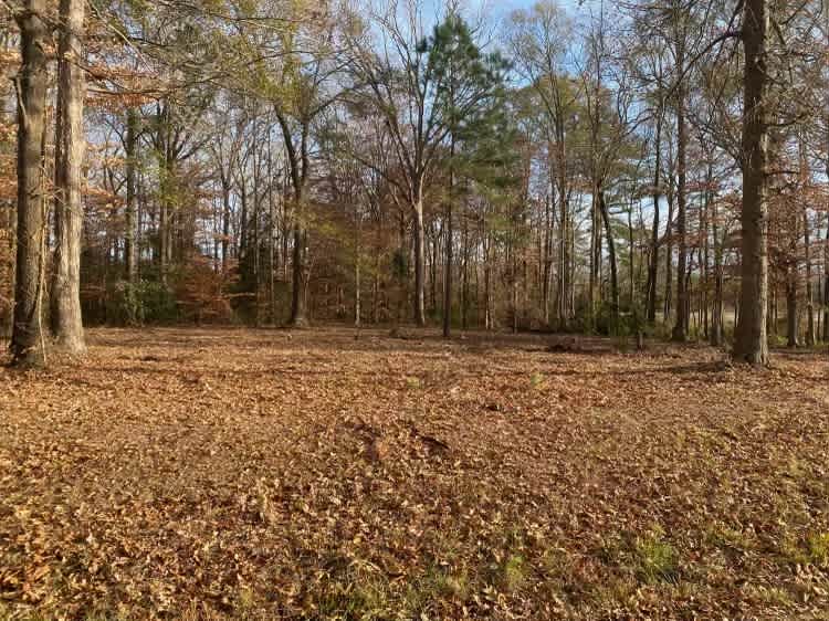 Turkey Trot Trails