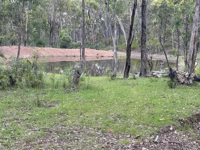 Koompartoo Wildlife Rescue