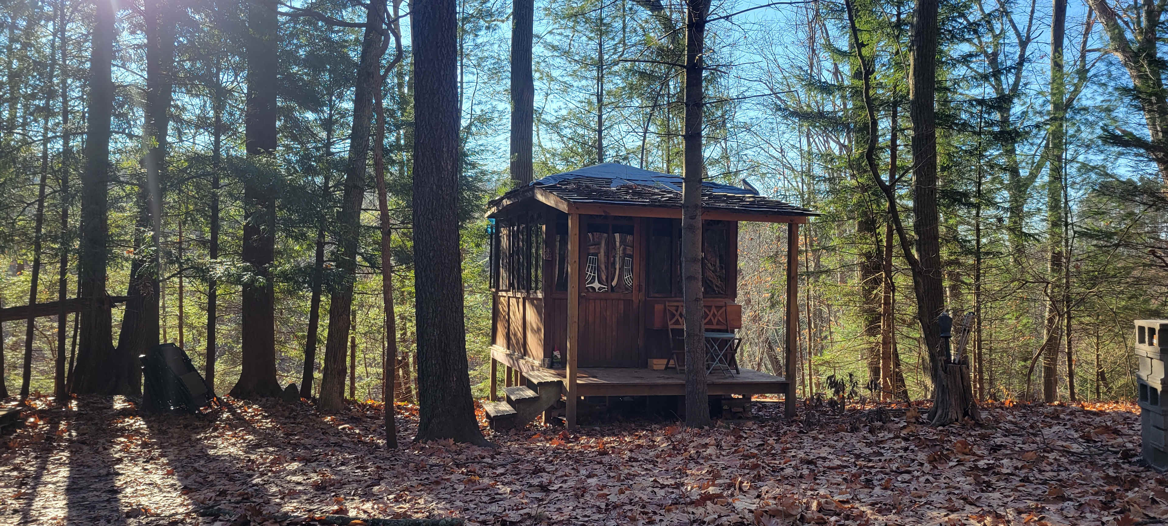 Hemlock & Hobbit Forest