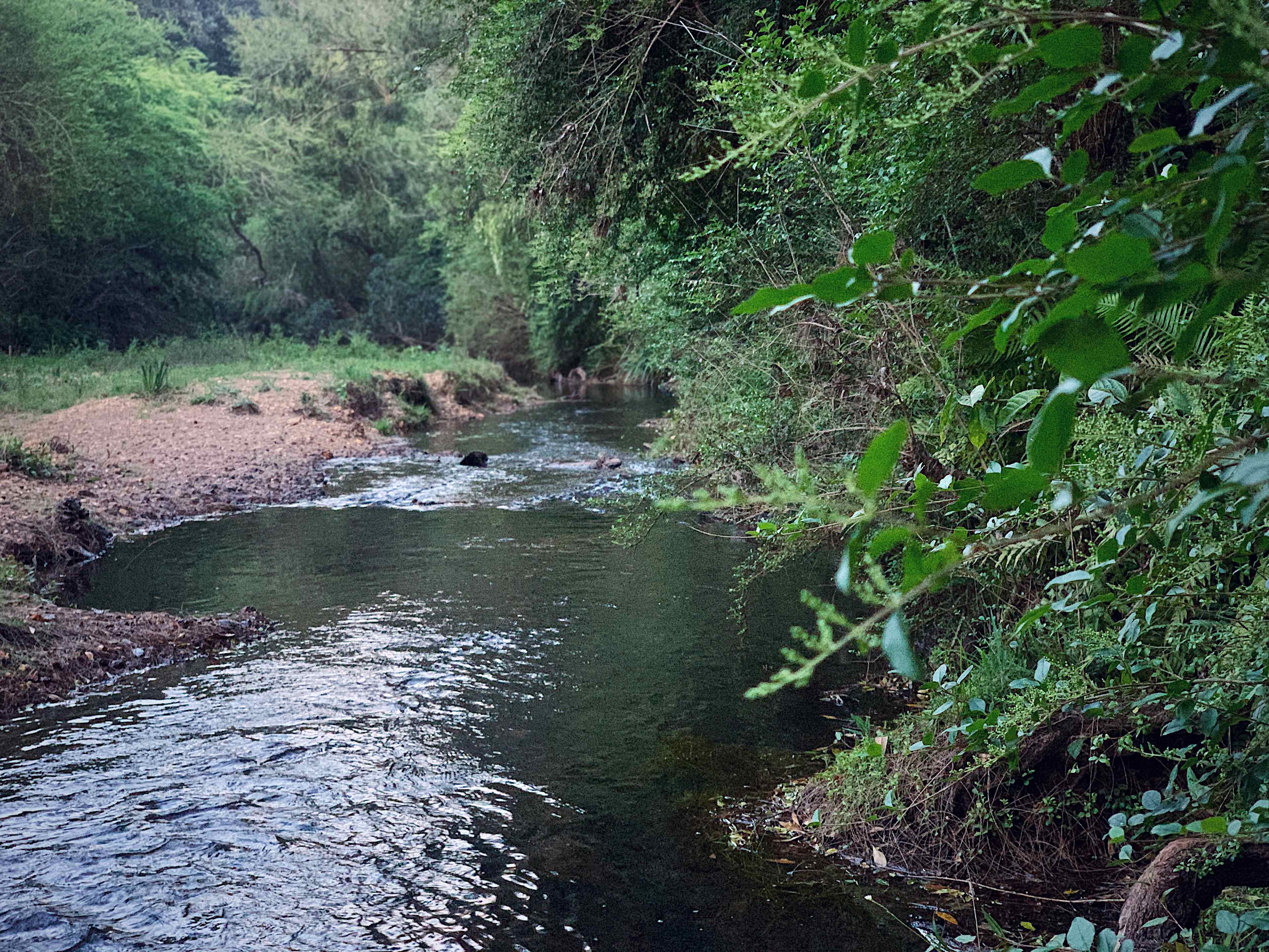 Kalang river