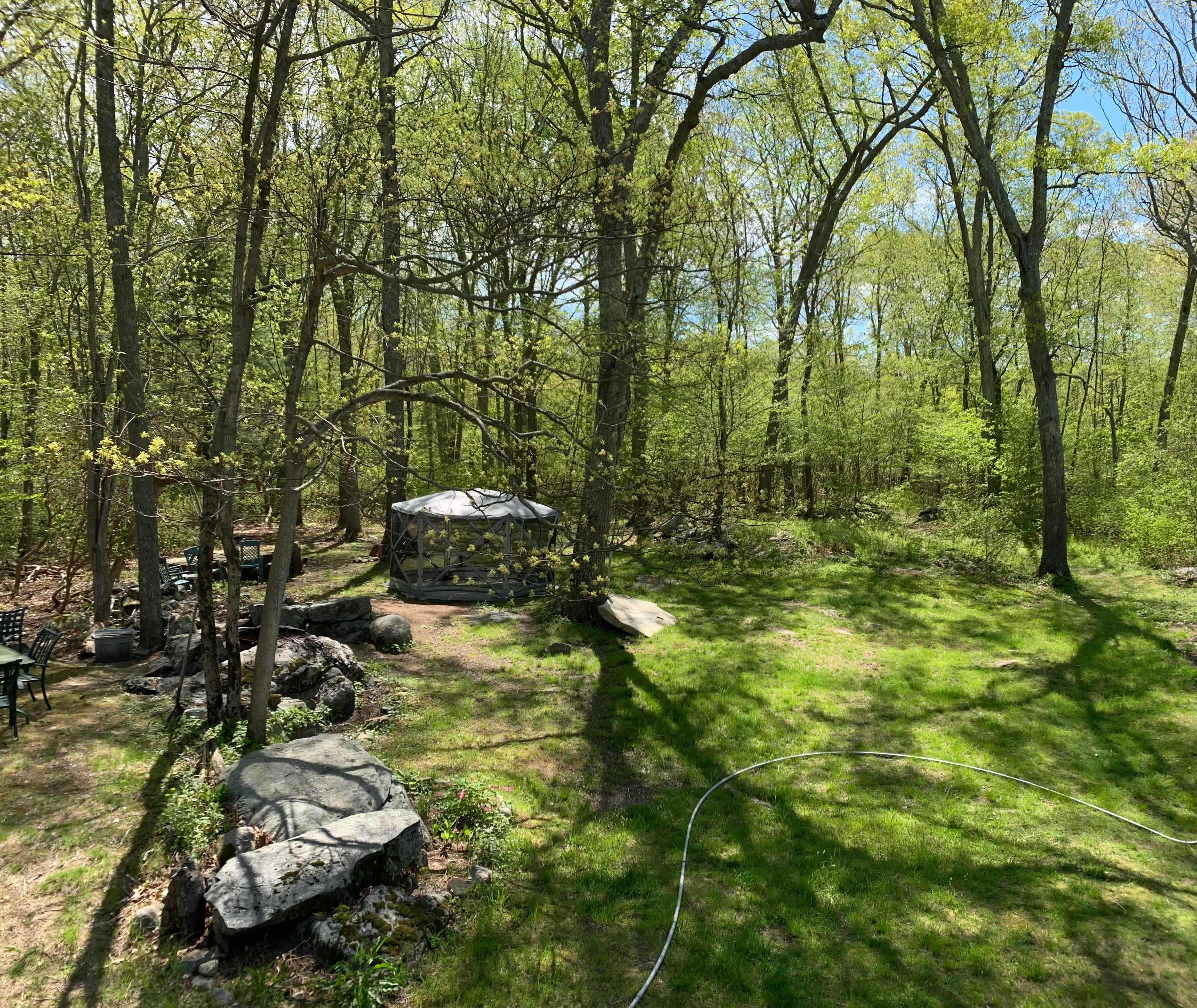 Backyard haven. 