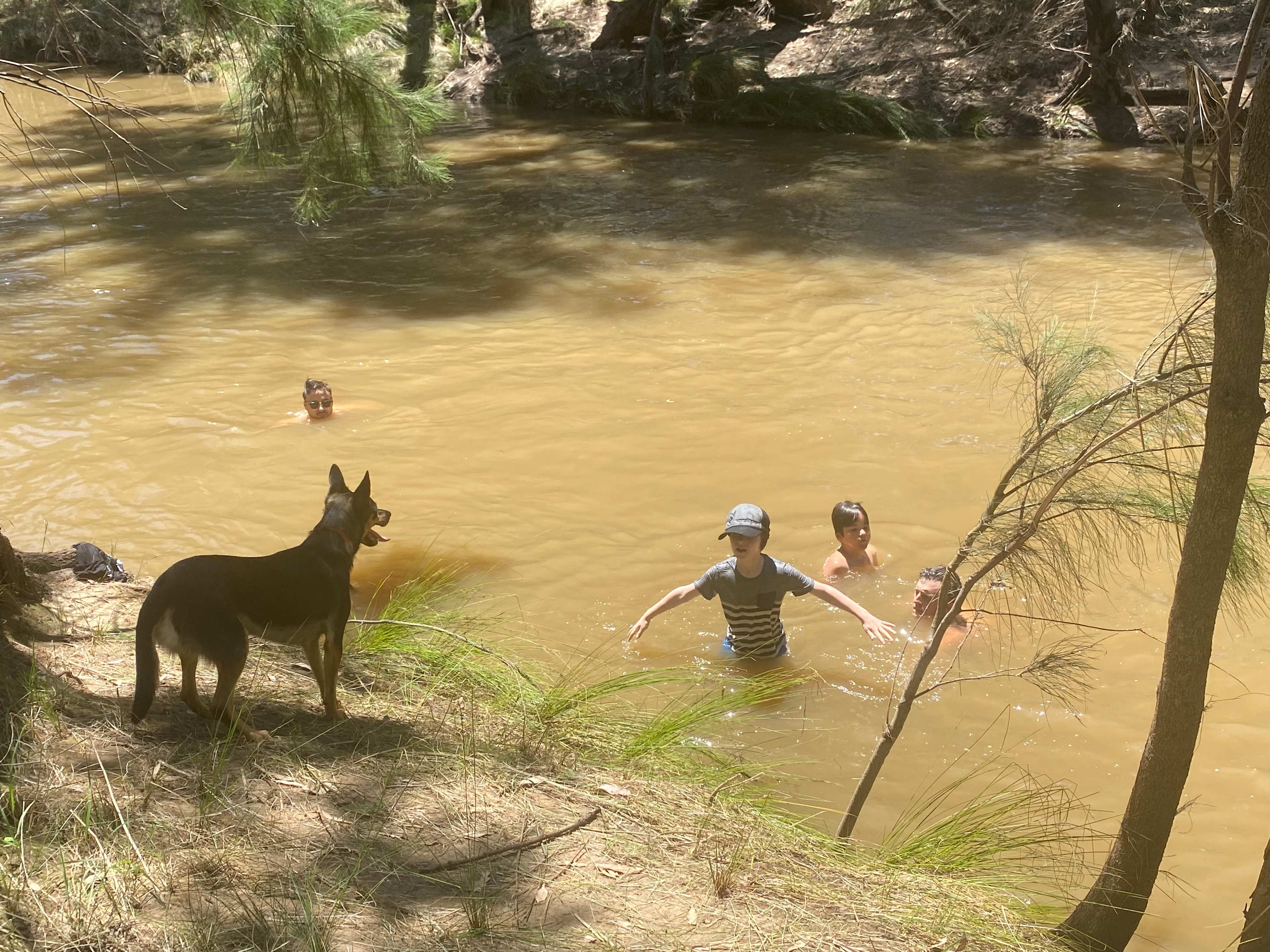 Cadagi Farm Stay in Central West NSW