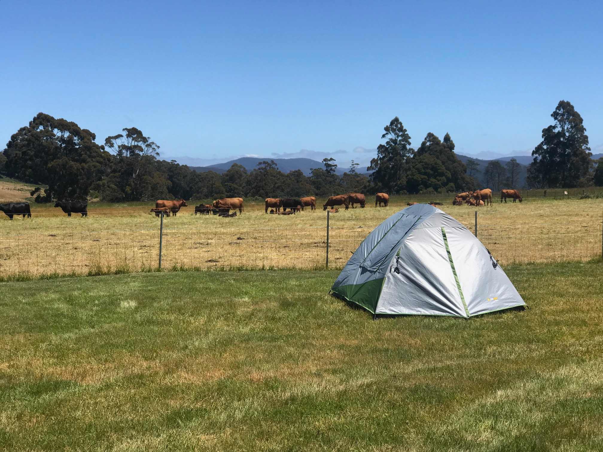 On Farm camping close to Cradle Mountain at The Farm Cradle Country Camp Ground.