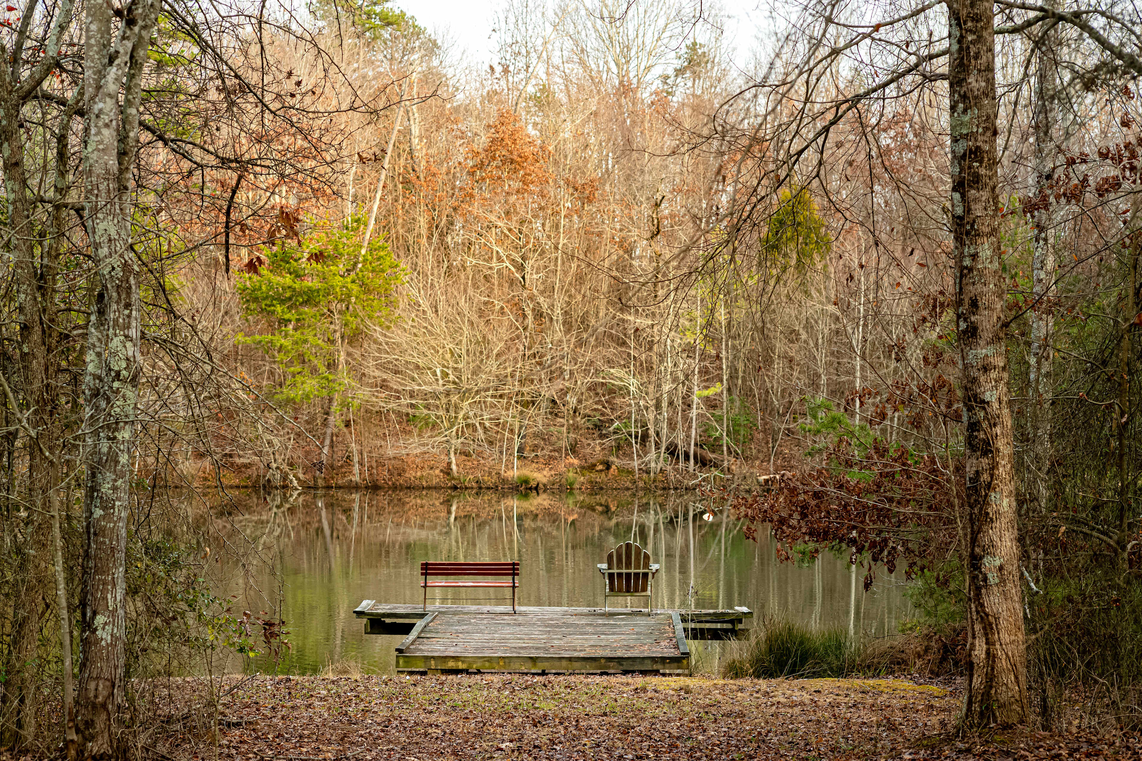 Legacy Acres Cattle Farm