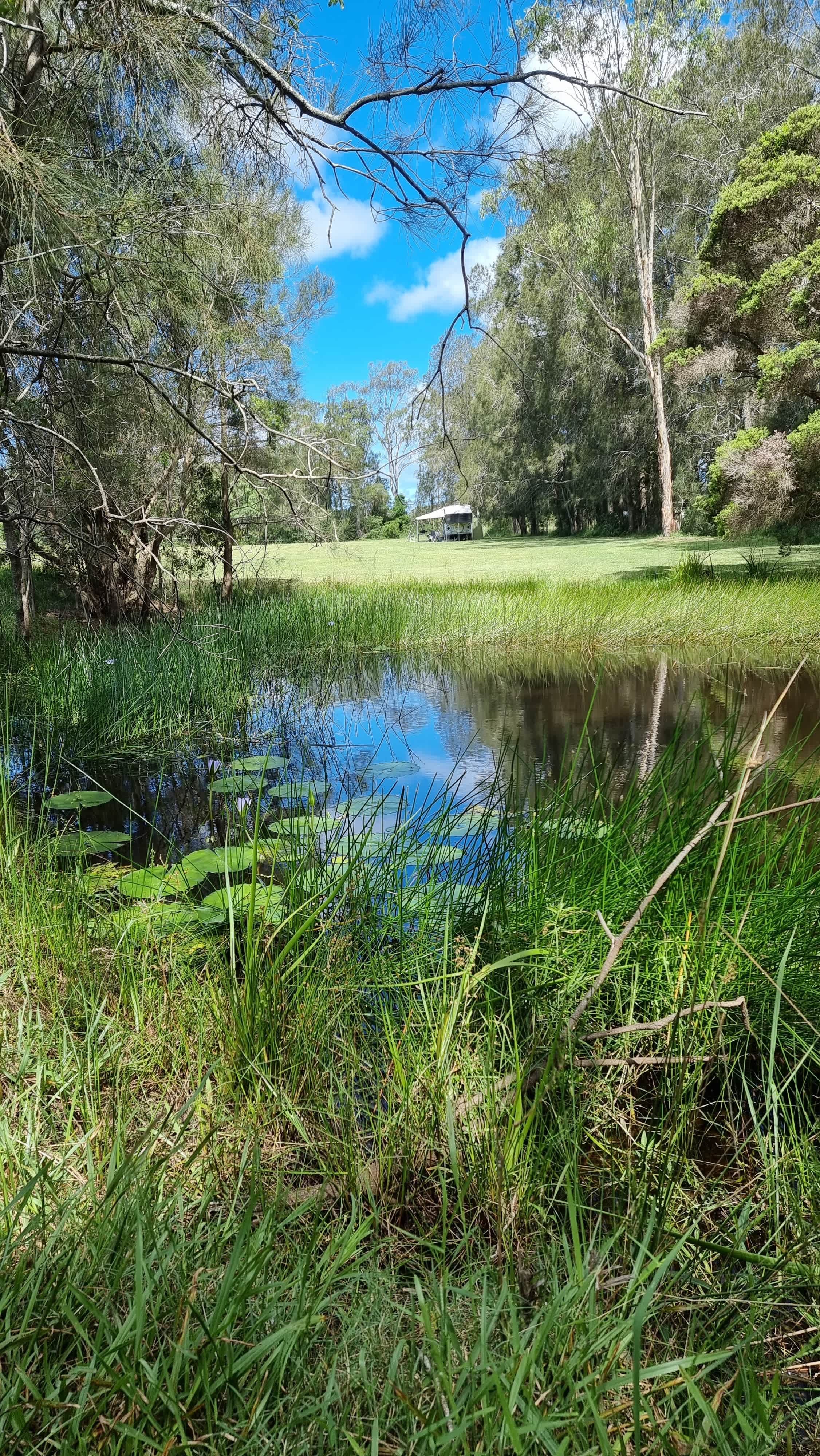 Hipcamper Ian captured this image from one of the spring fed dams.