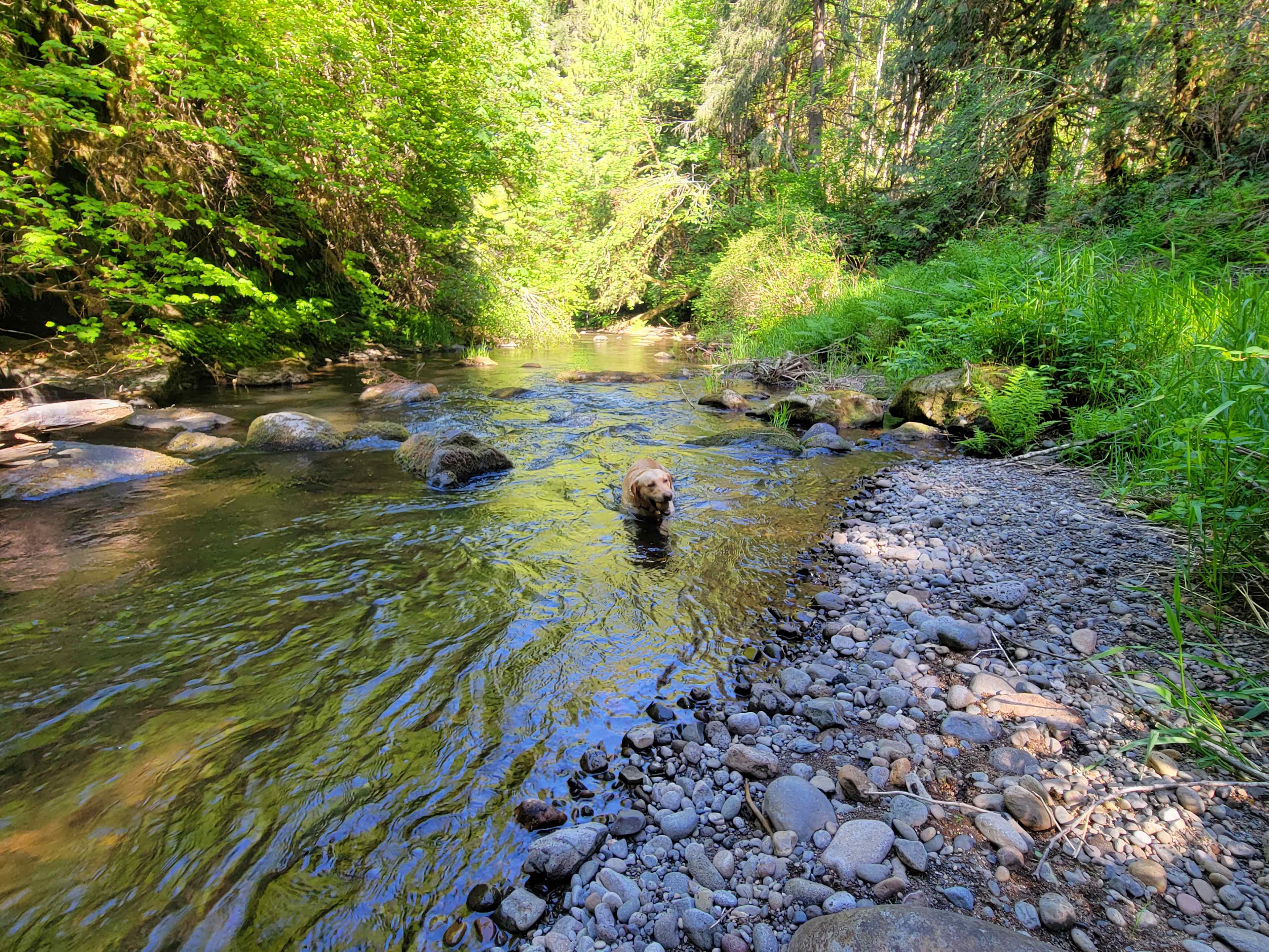 Main Creek Access Area