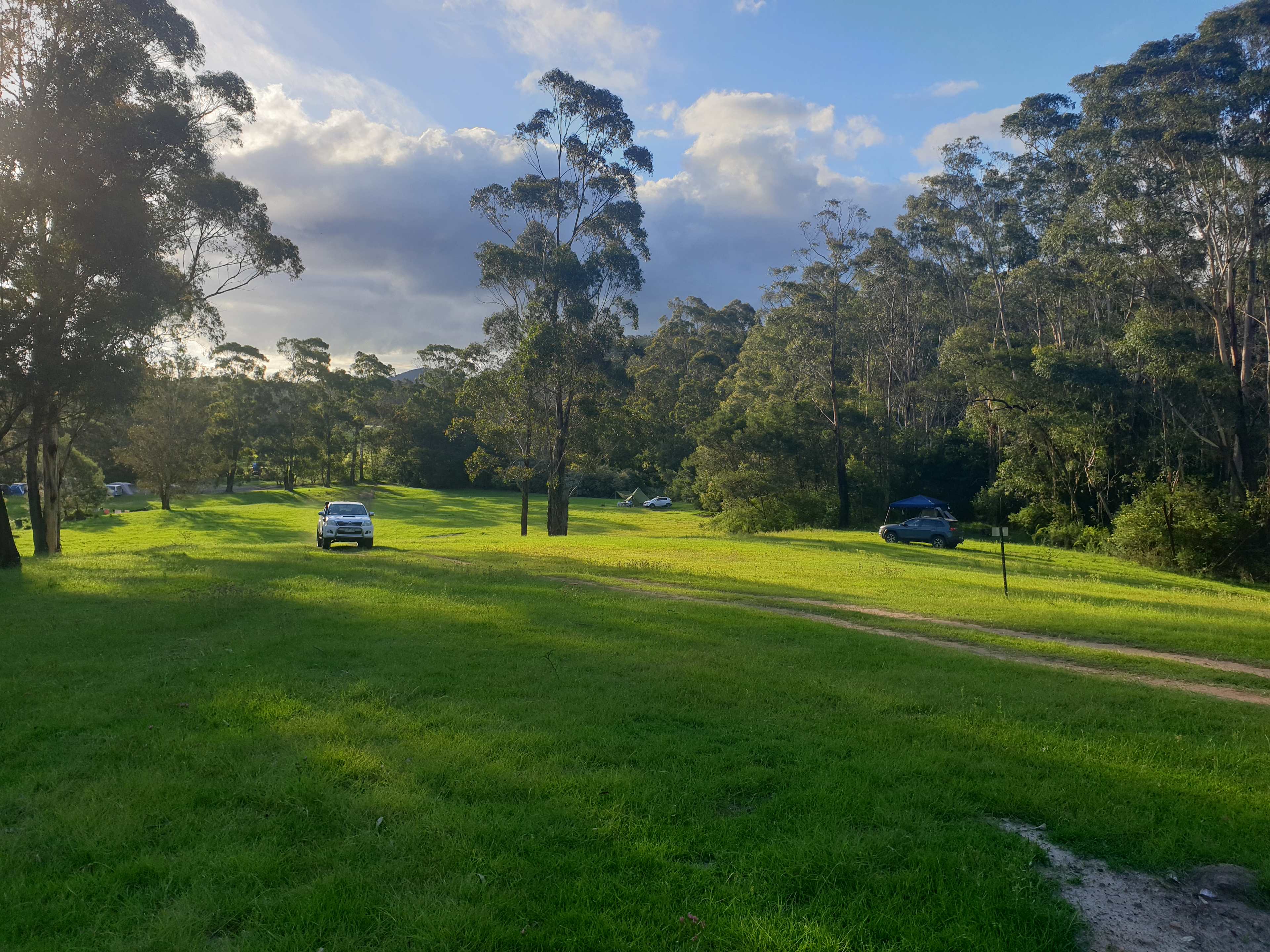 Picture of the site