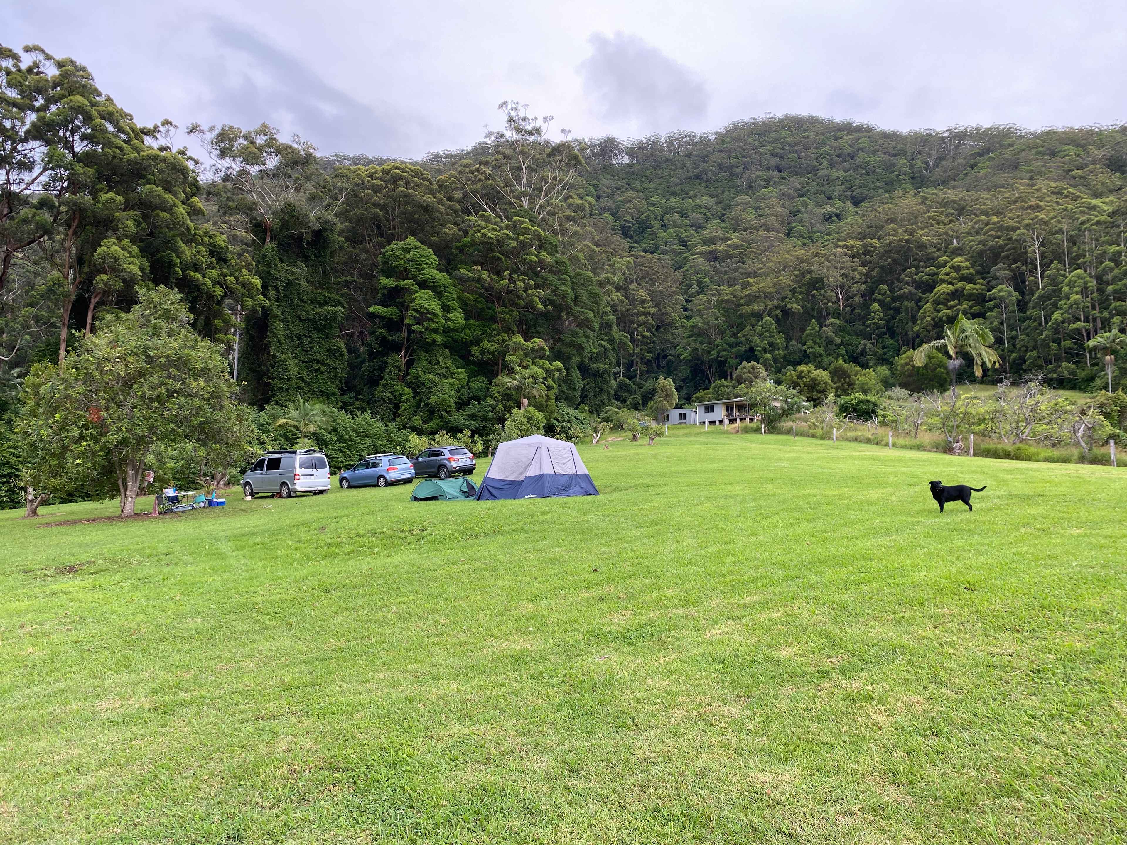Pony paddock campers