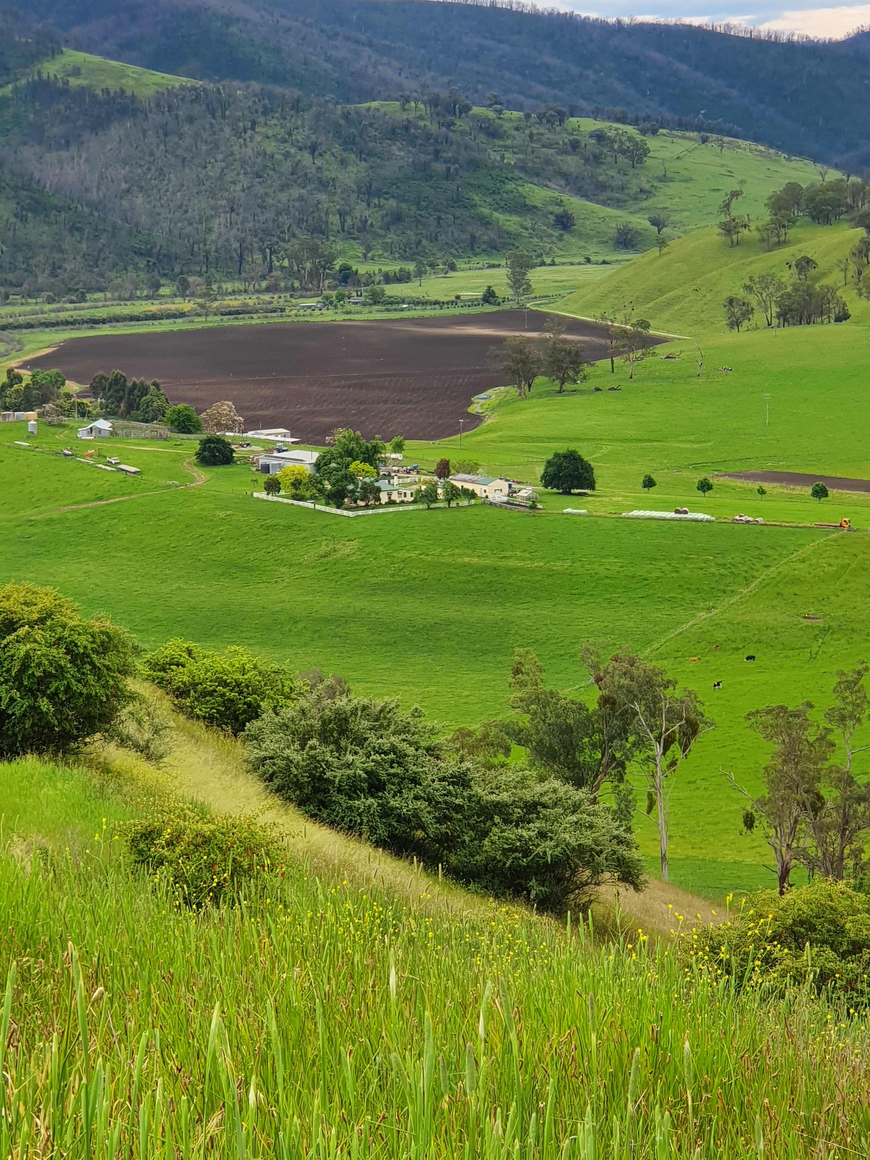 Grandview Sanctuary