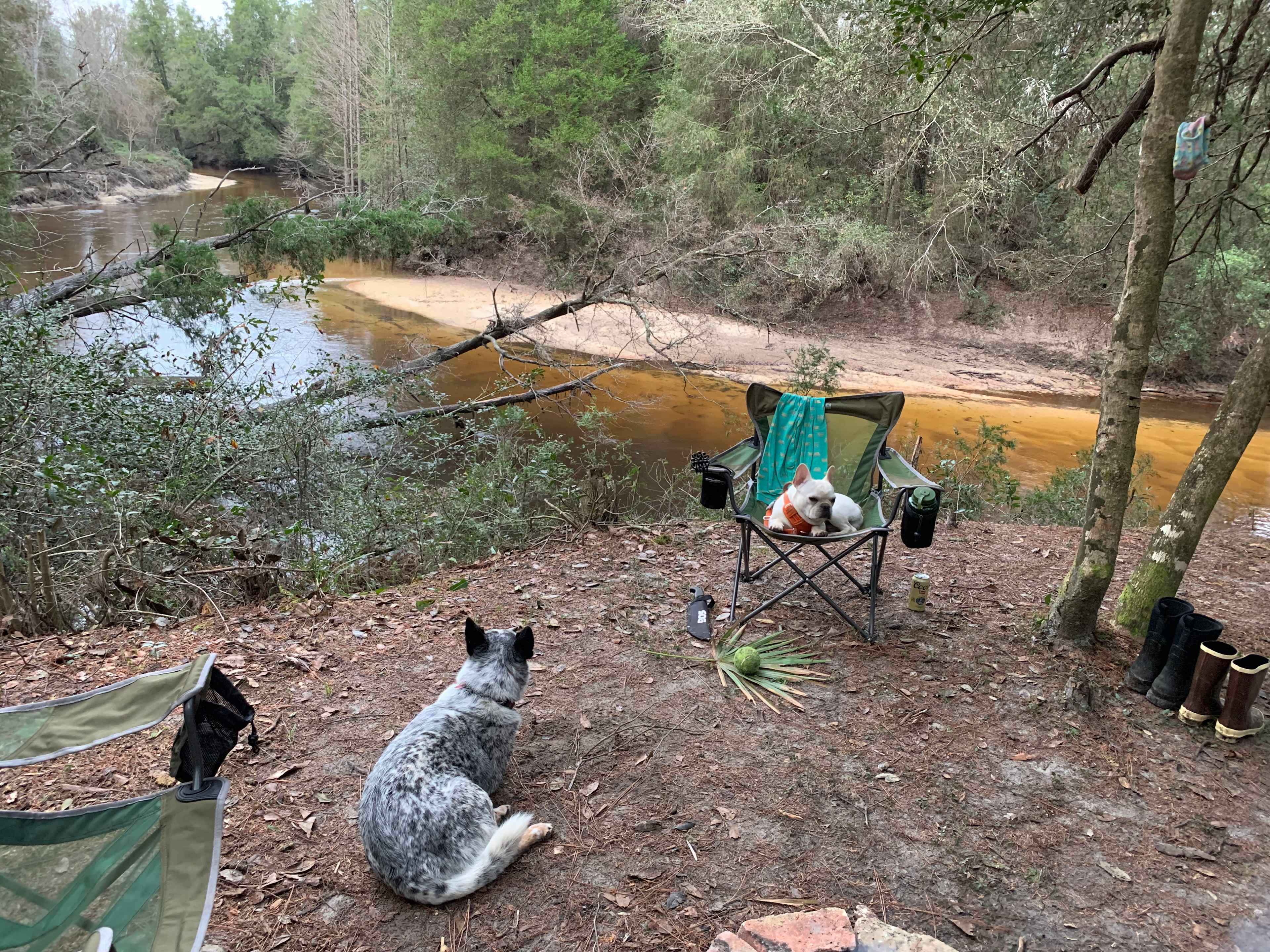CampFire at the Riverbend