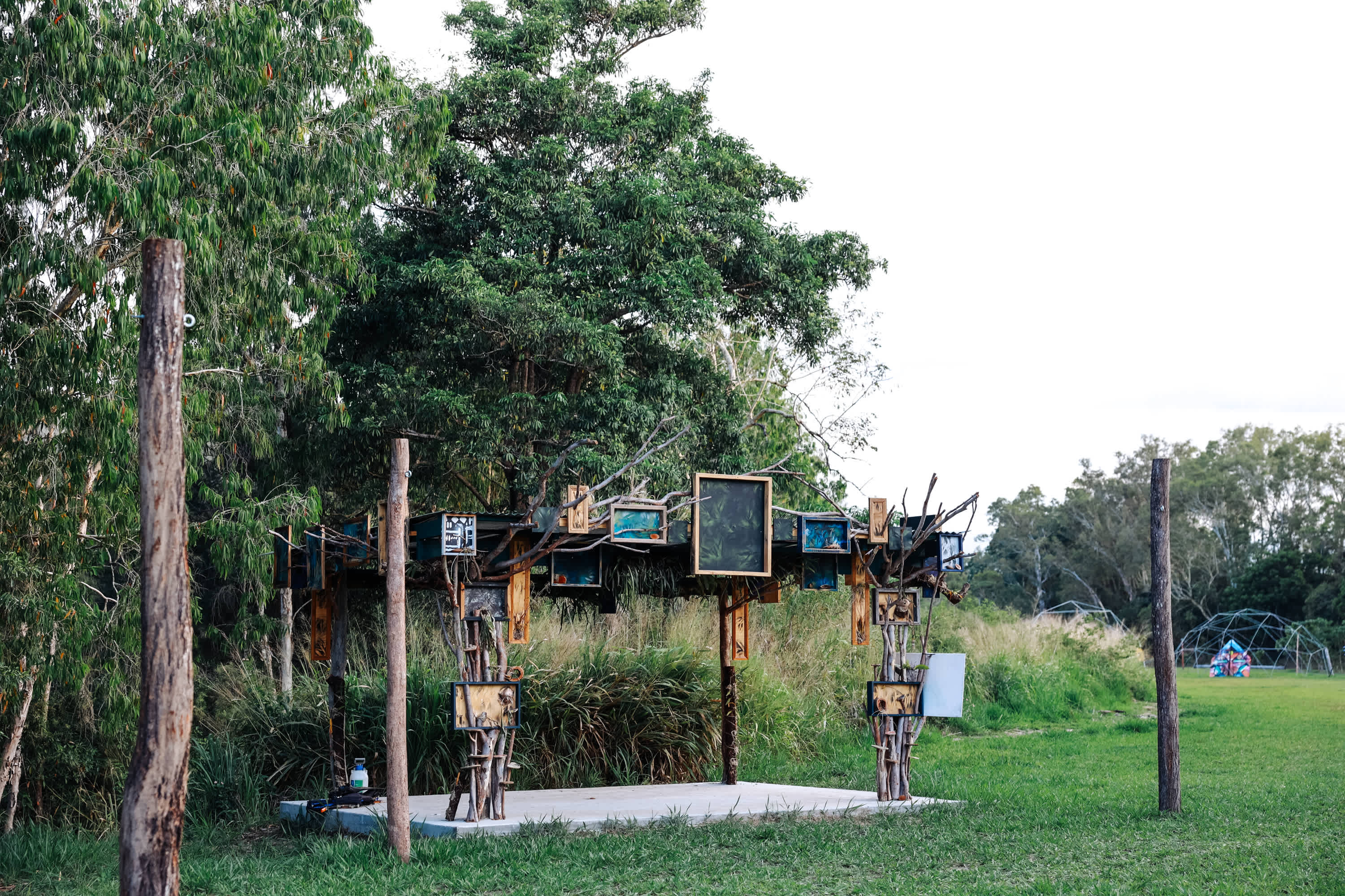 Picture of the site