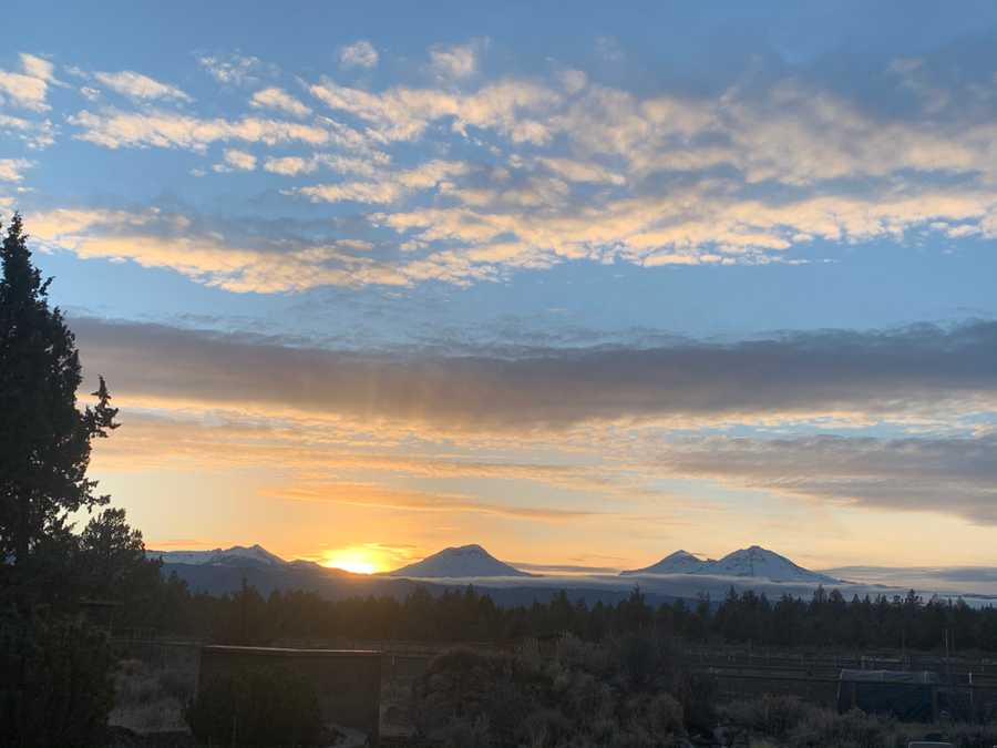 This is the actual view from the tiny house!