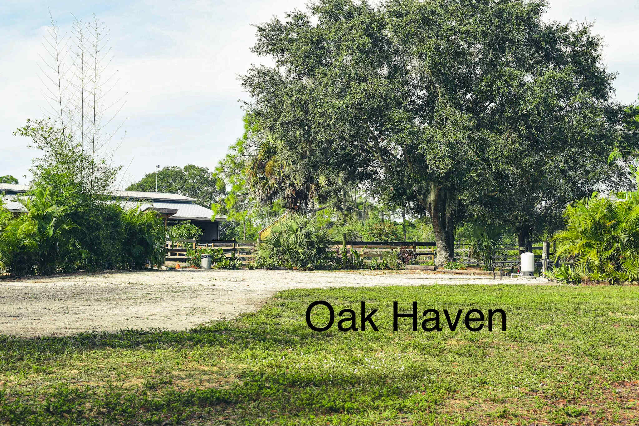 Eye level view looking at the Oak Haven site