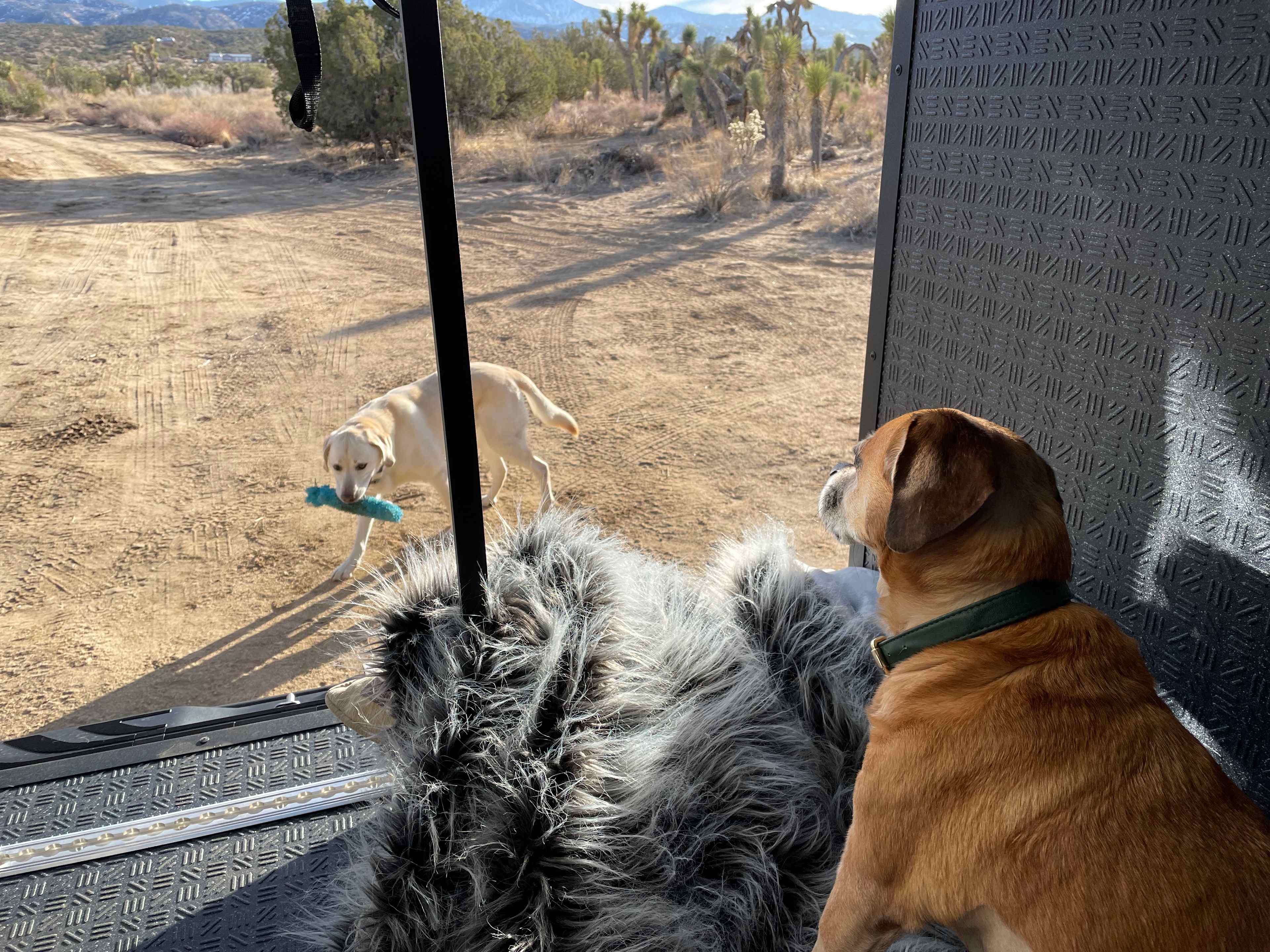 Basecamp 138 Desert Ranch