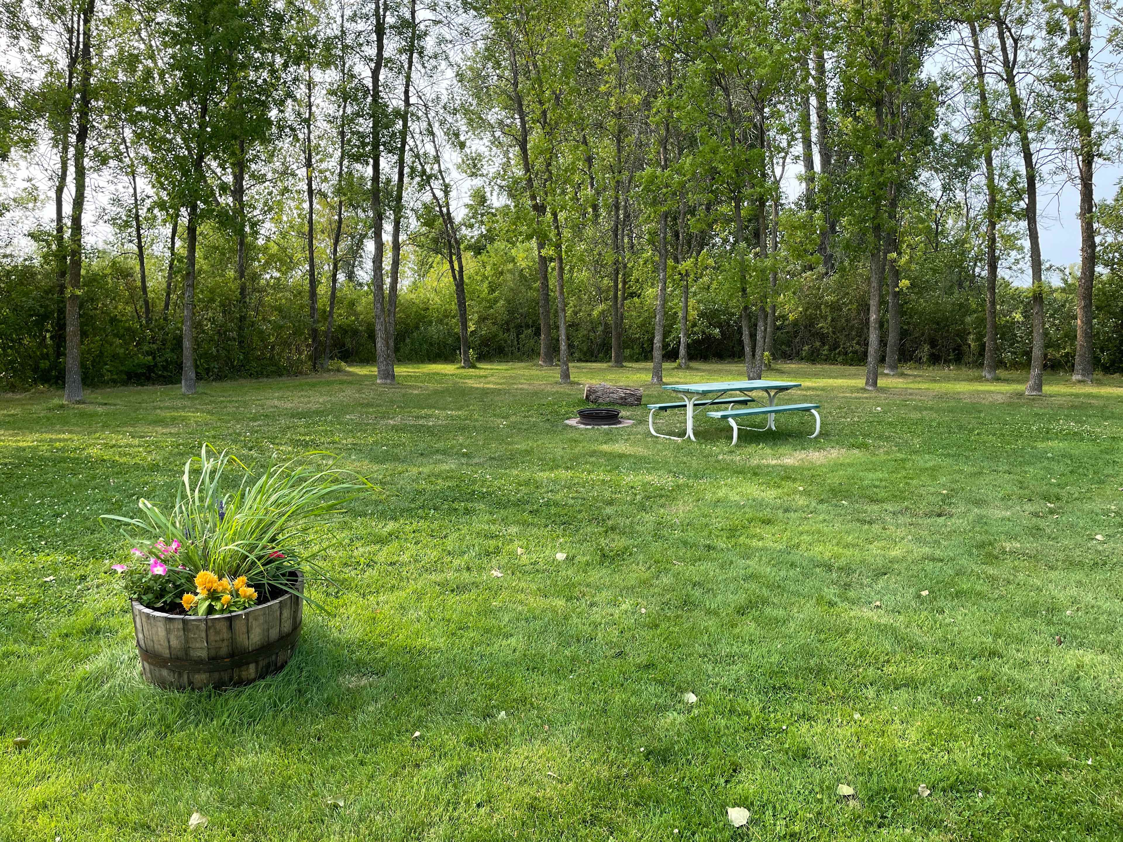 View of Grasslands 3 Primitive Tent Camping Site