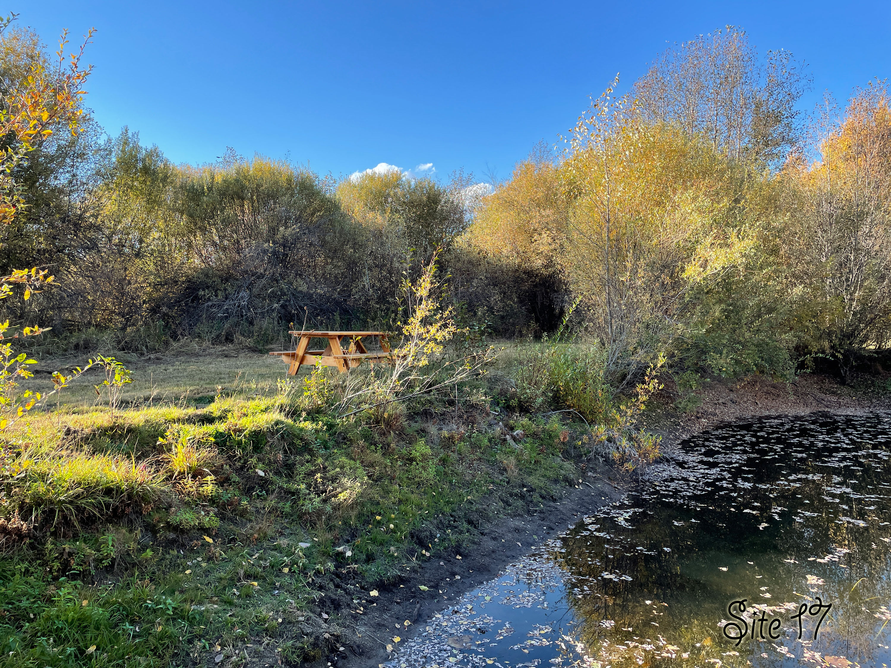 Picture of the site
