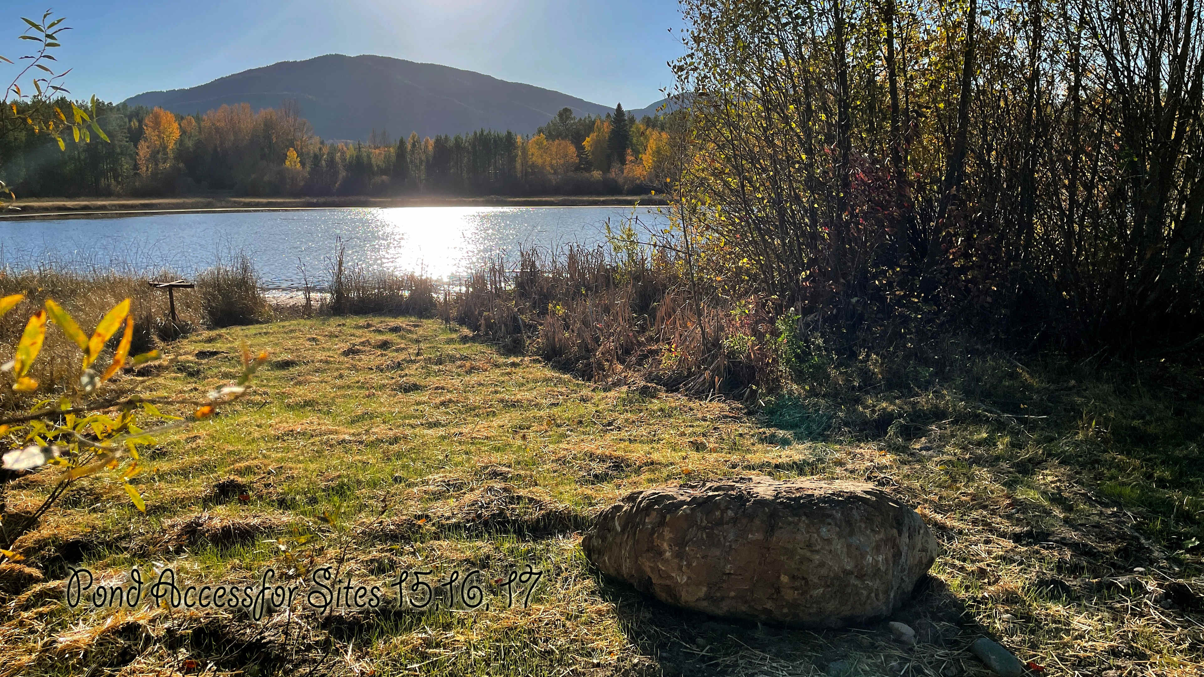 Picture of the site