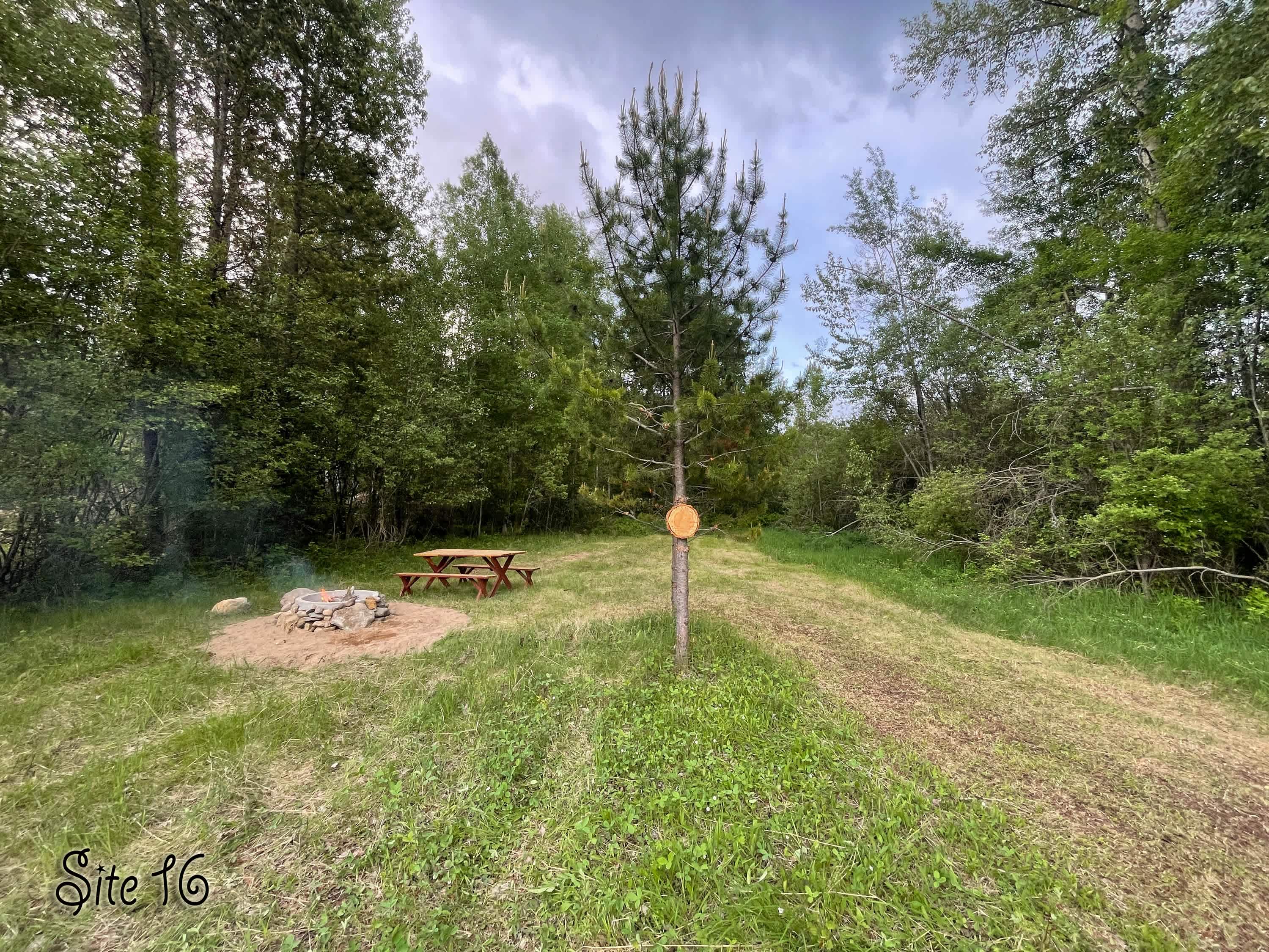 Picture of the site