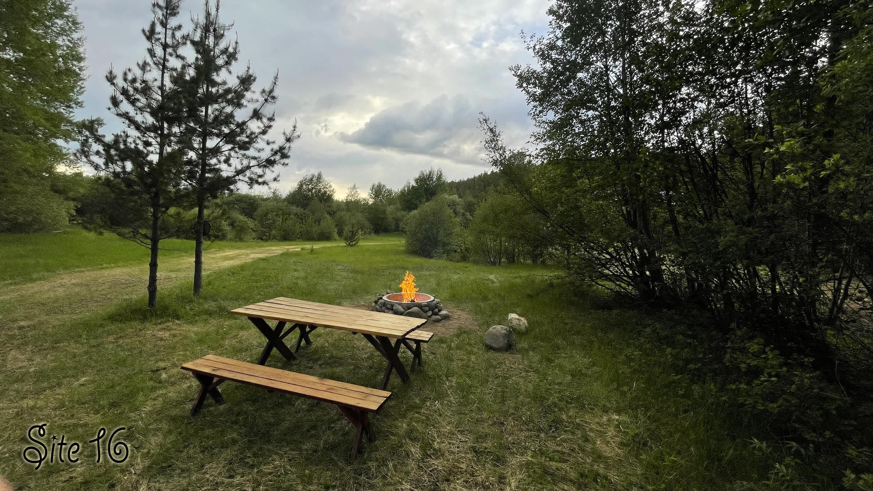 Picture of the site