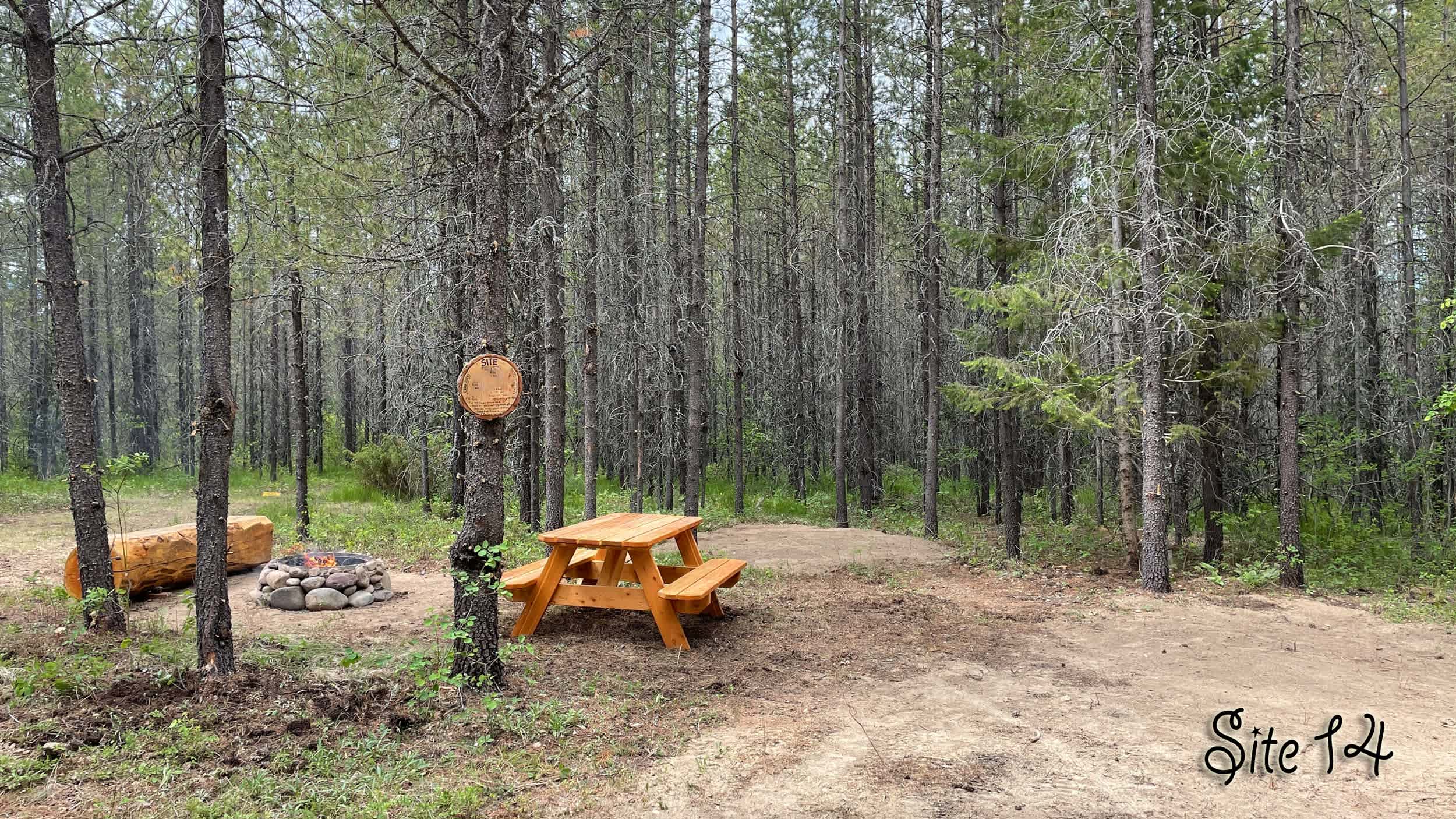 Picture of the site
