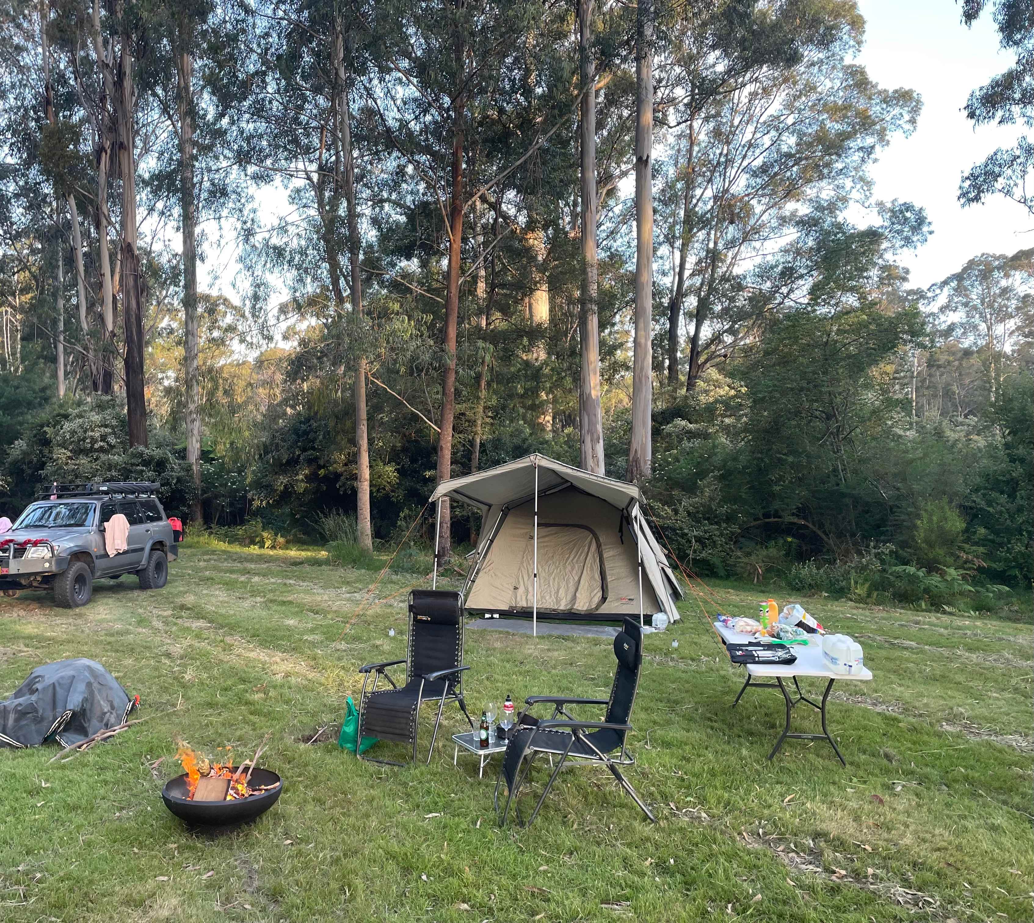 Picture of the site