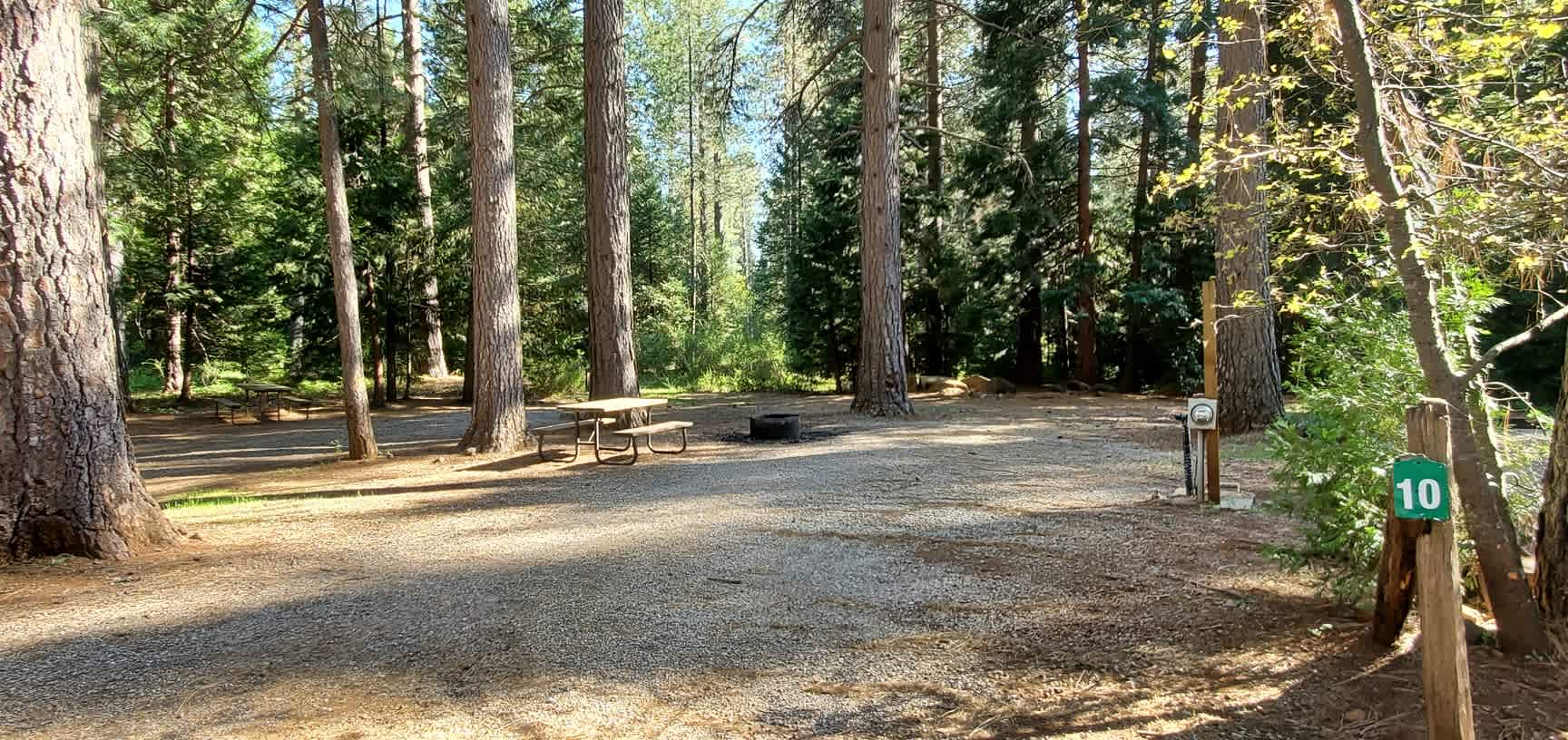 Peter's Forest Vacation Rentals
