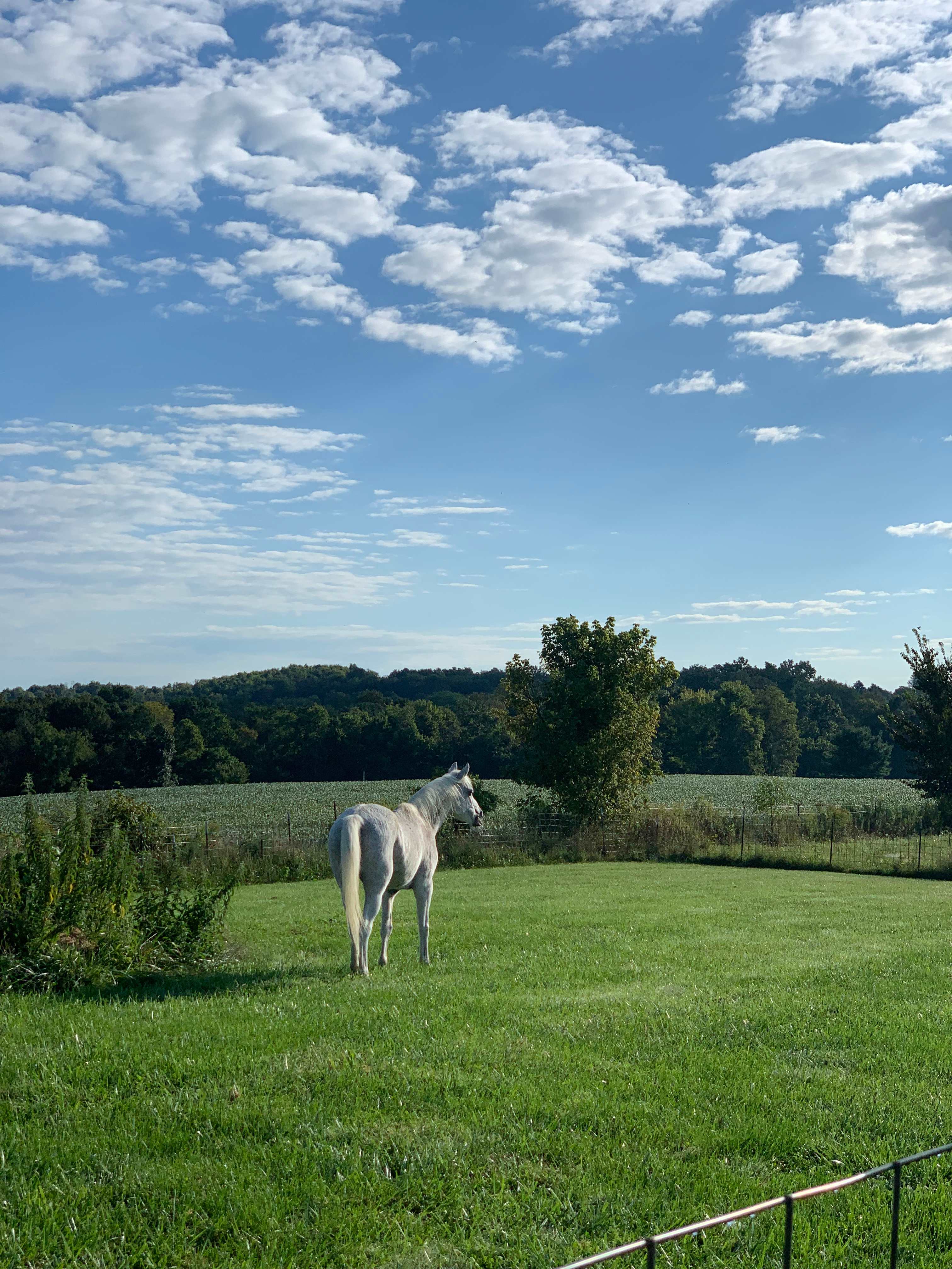 Our girl Ria, enjoying the hilltop views 