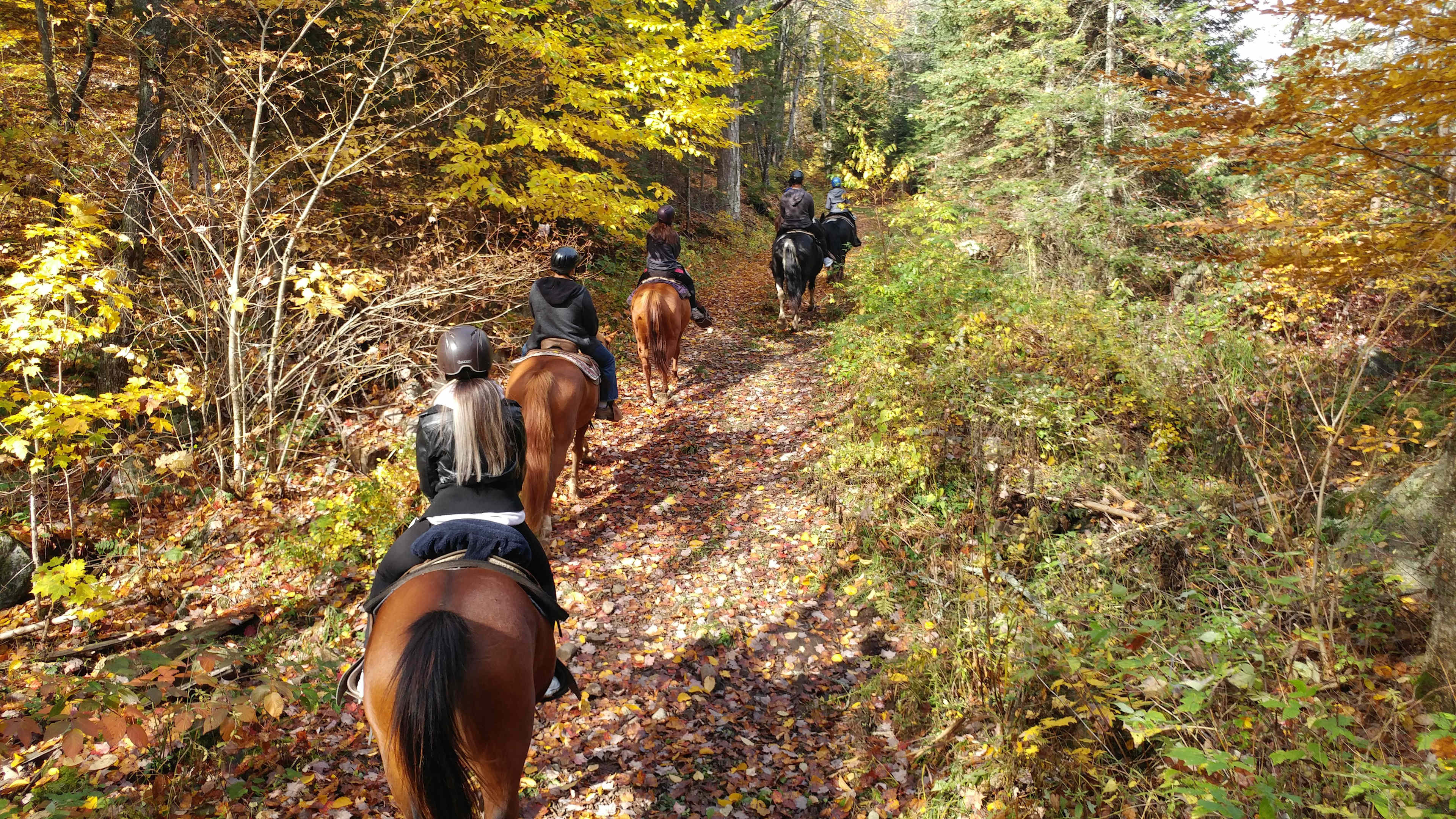 Kingscote Campsites - Algonquin