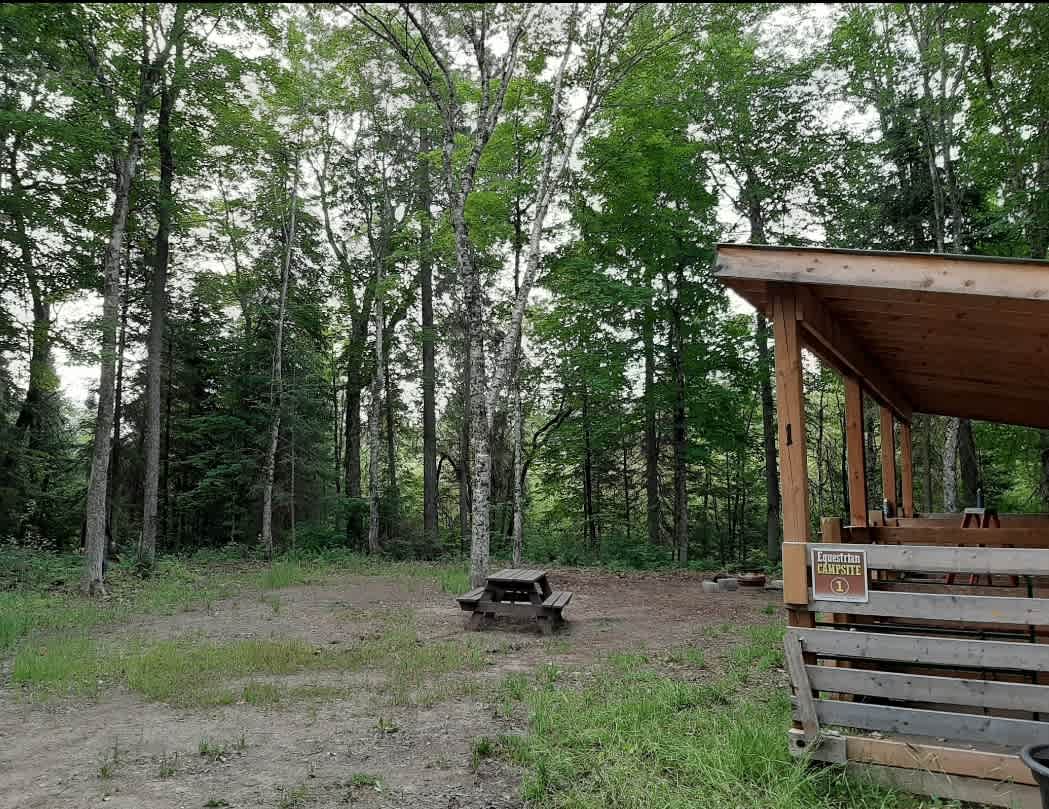Kingscote Campsites - Algonquin