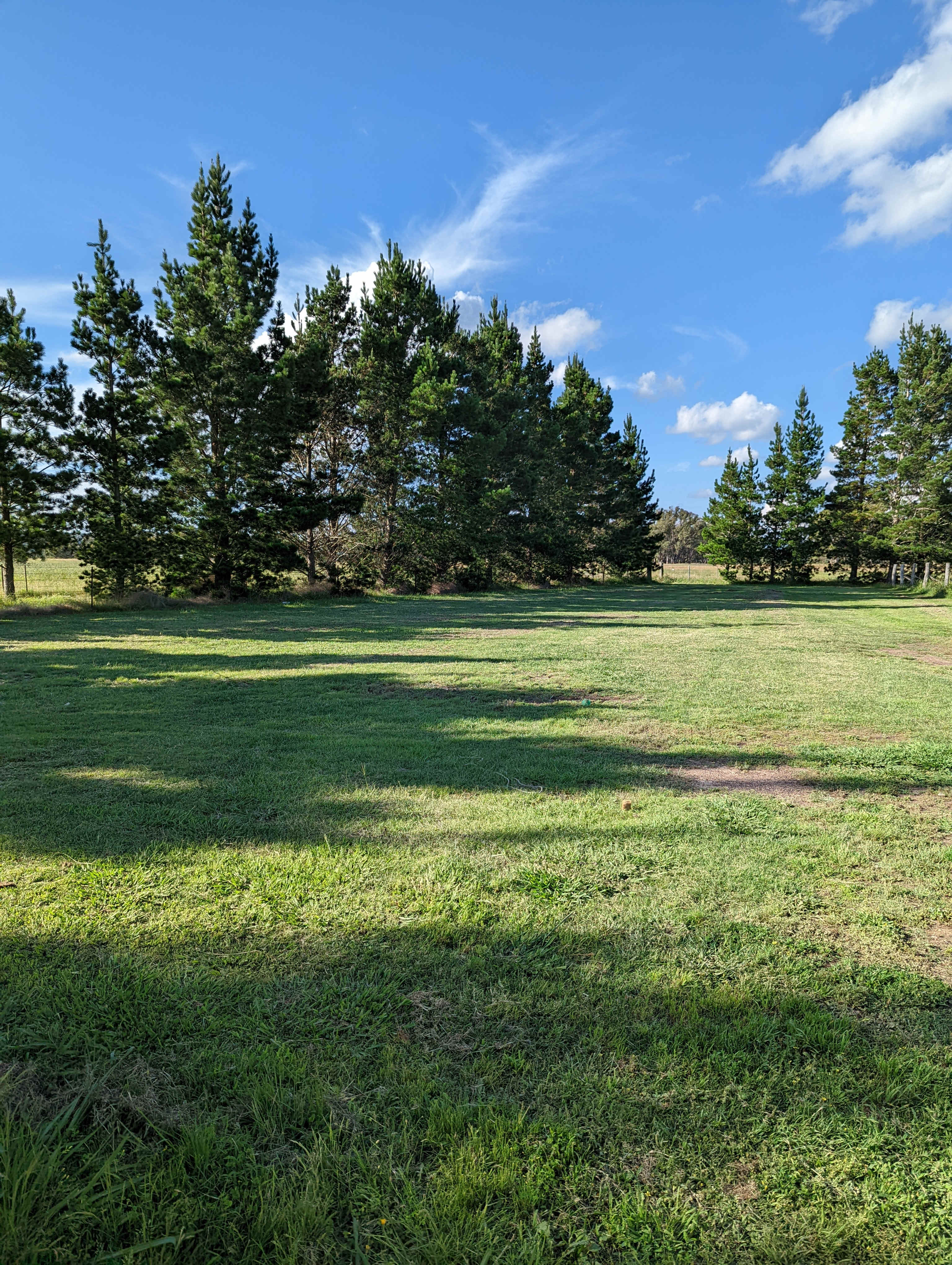 The Hobby Sheep Farm