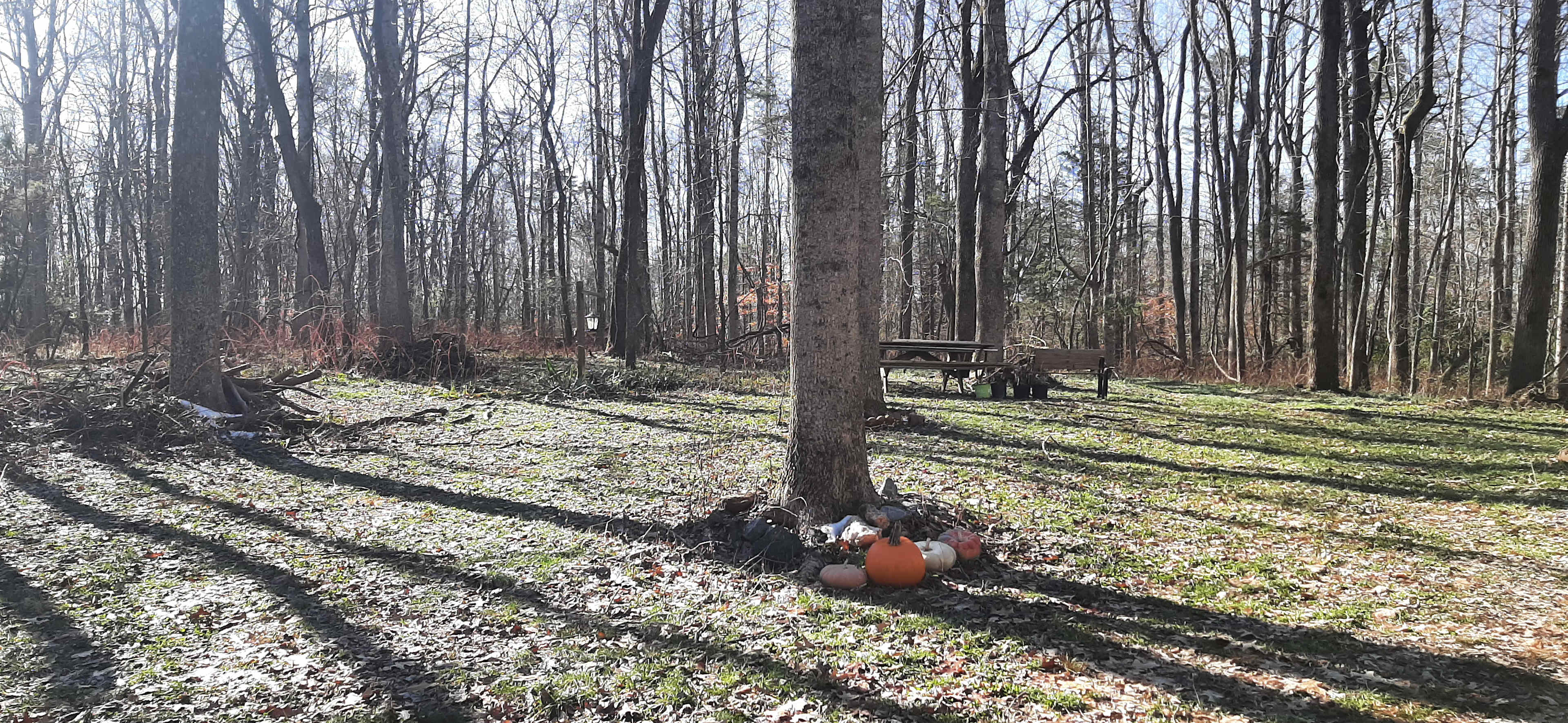 Historic "GREEN HILL" on the Nomini Creek