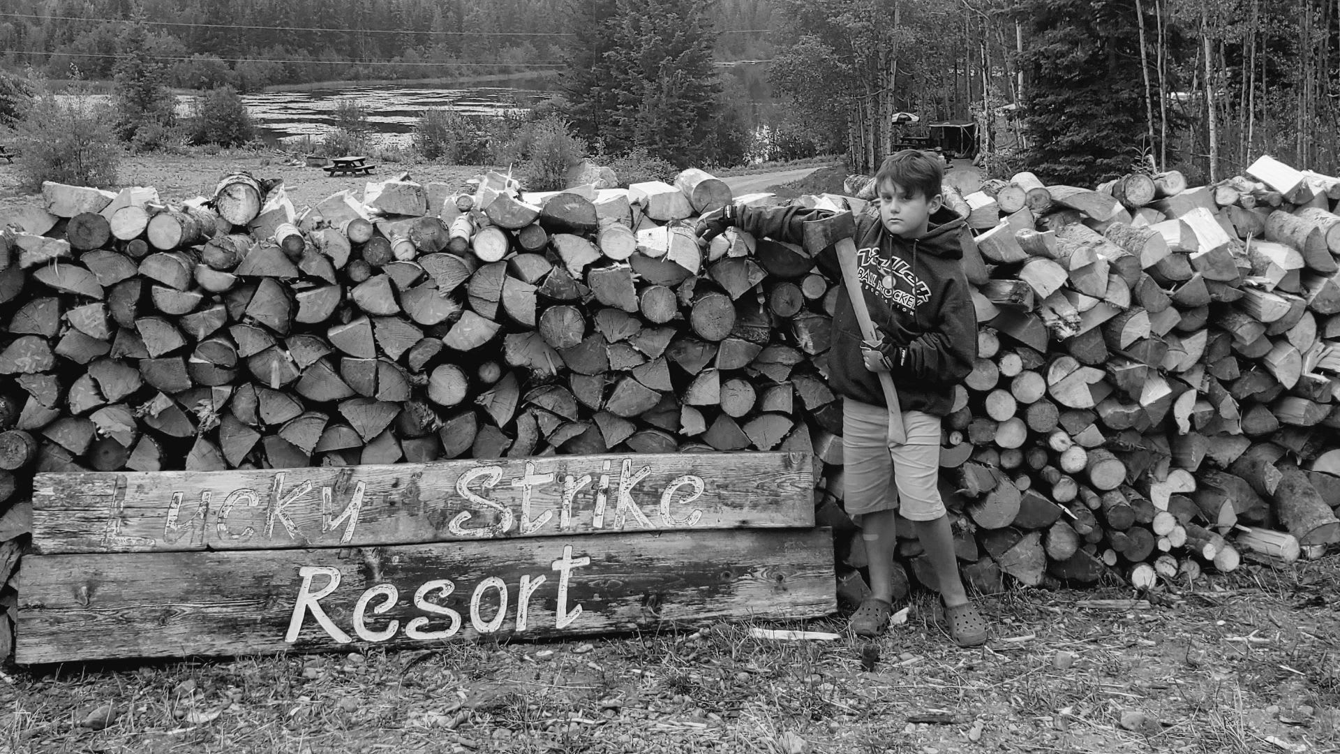 Picture of the site