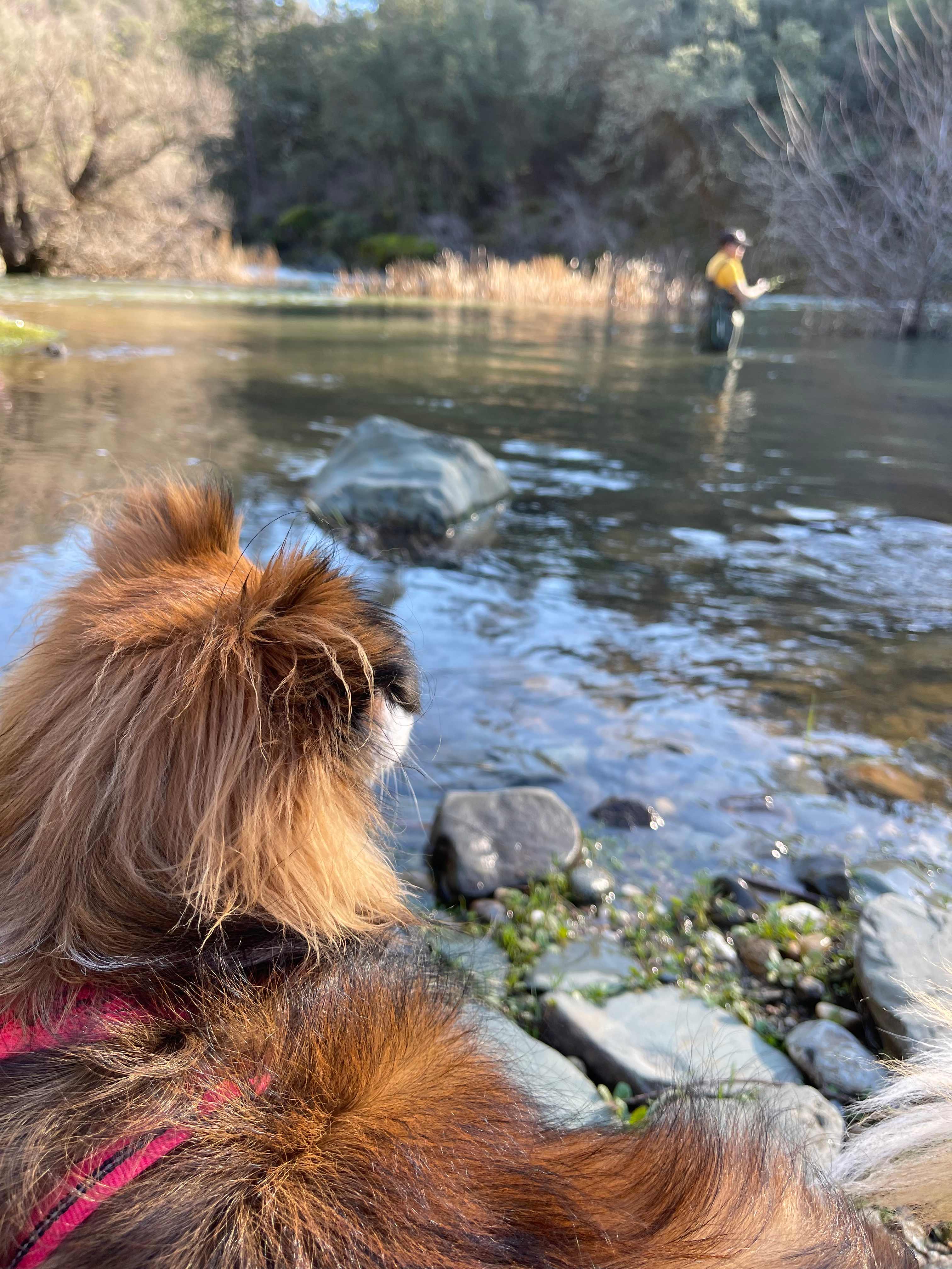 Private River Oasis