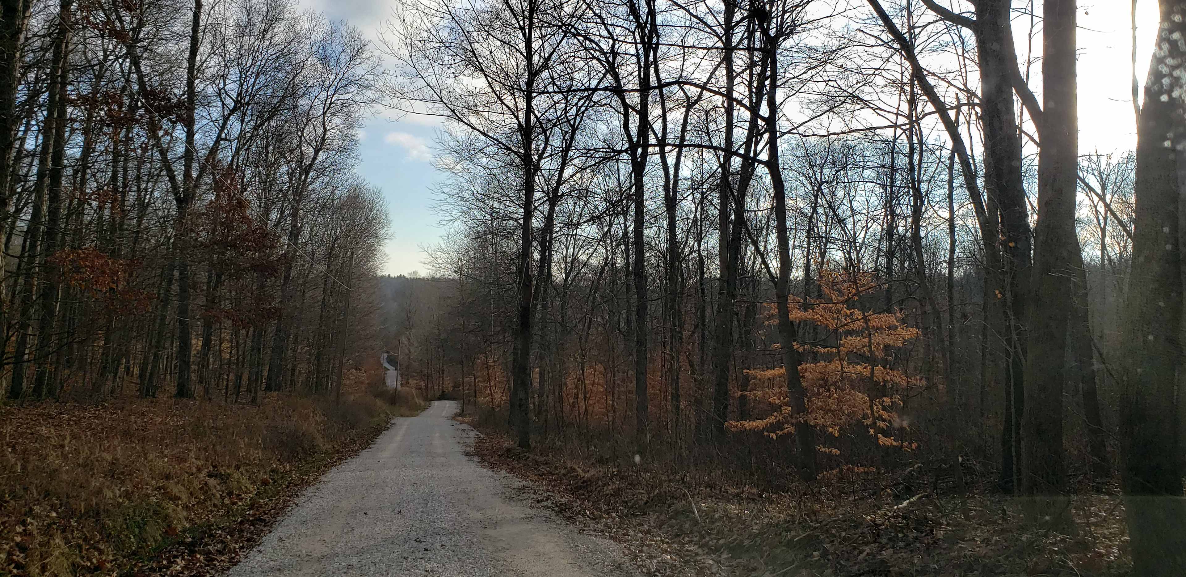 This is the road up to property 