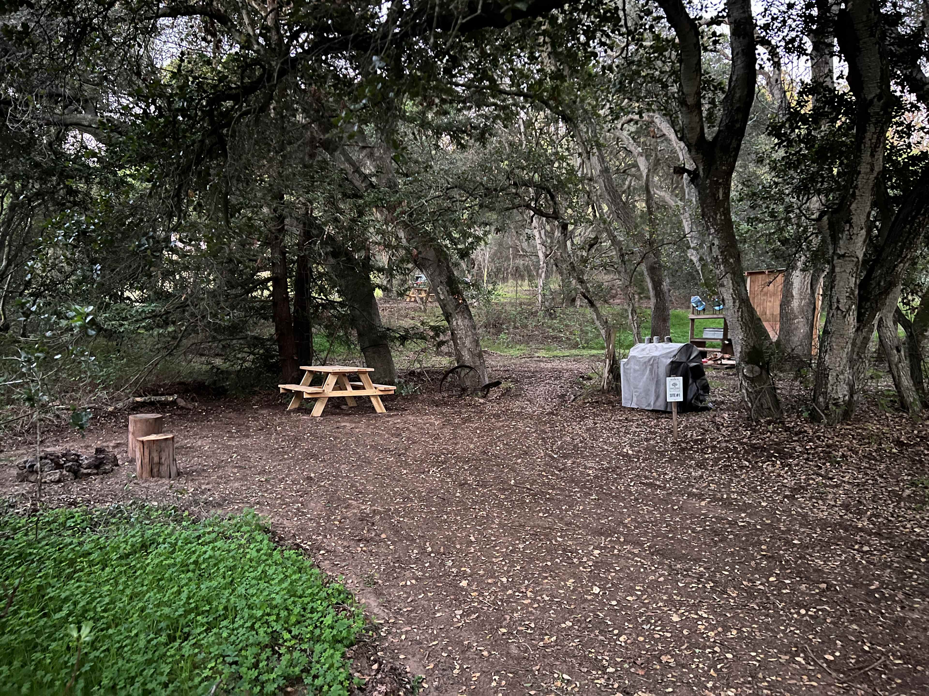 Picture of the site